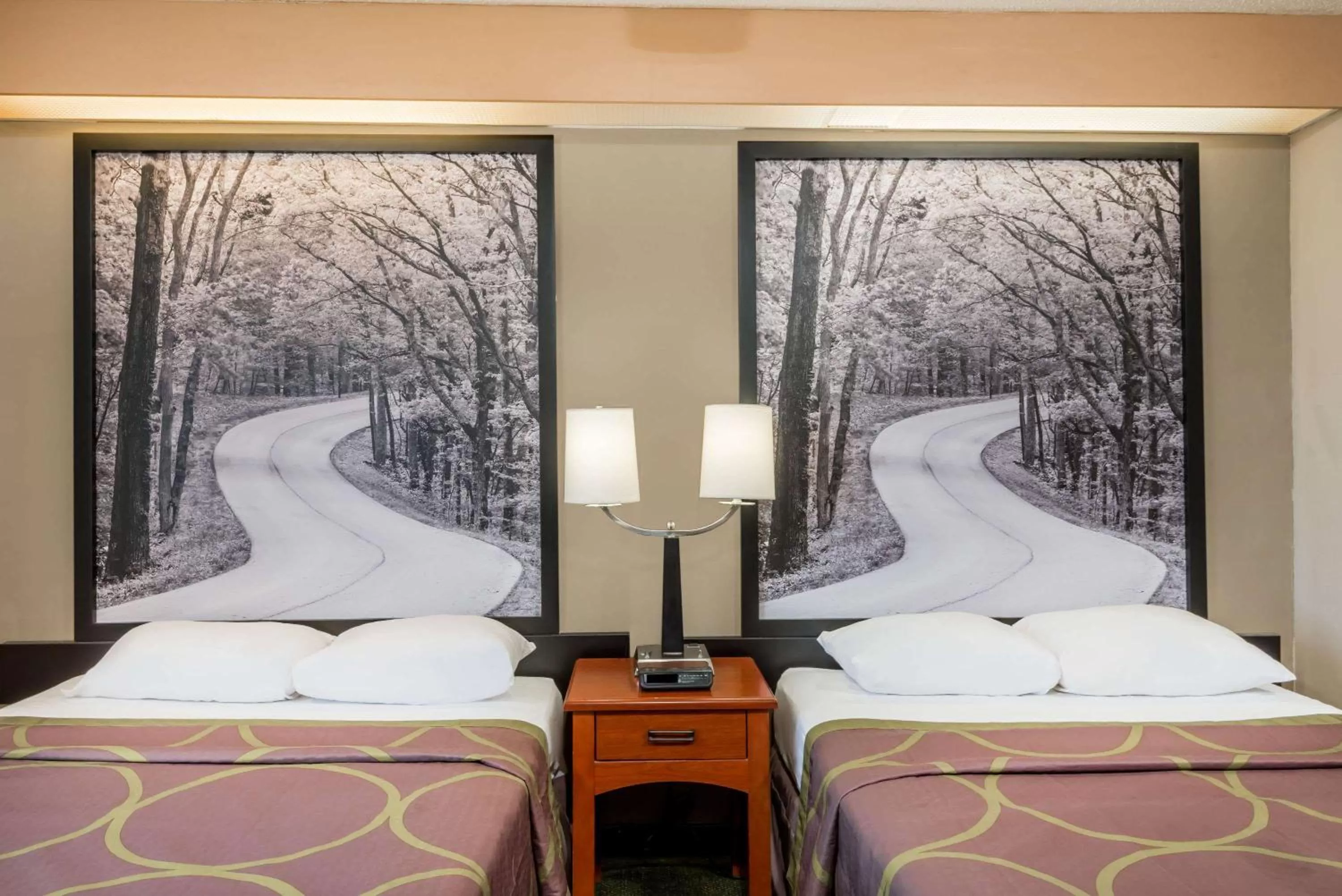 Photo of the whole room, Bed in Super 8 by Wyndham Jasper