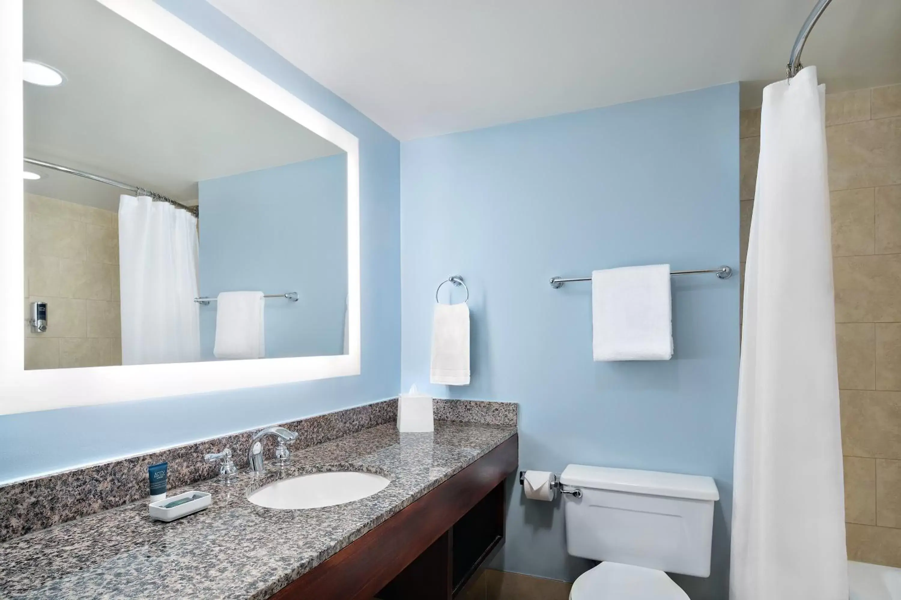 Bathroom in Four Points by Sheraton Richmond Airport