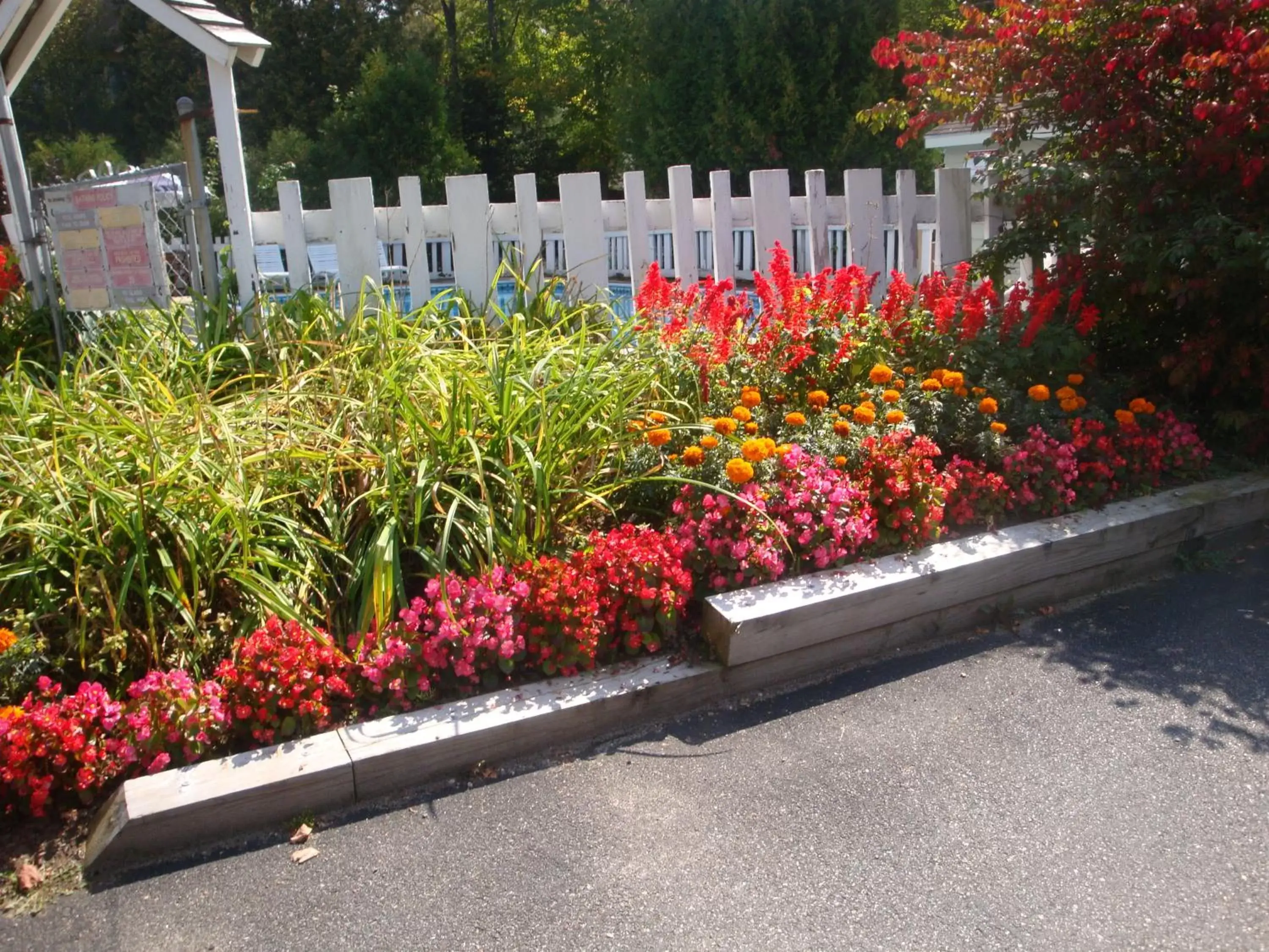 Garden in Maple Leaf Inn Lake Placid