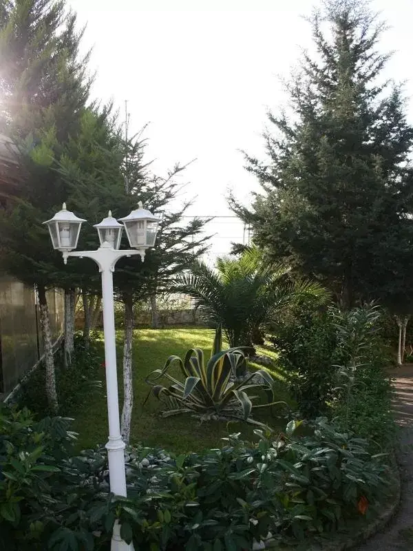 Garden in Hotel Baron