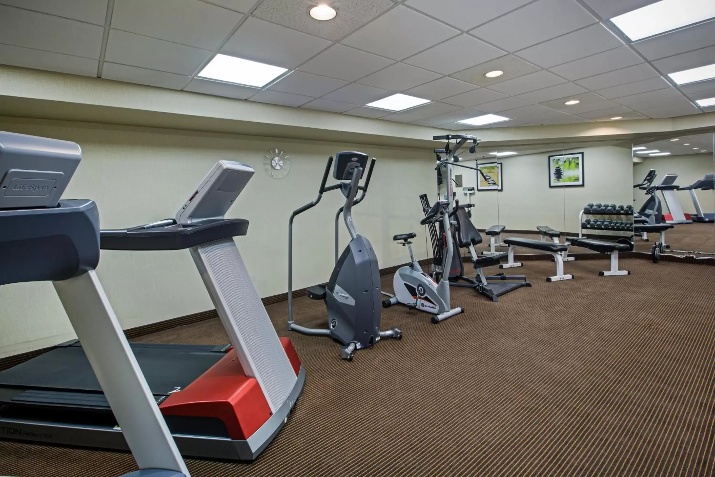 Fitness centre/facilities, Fitness Center/Facilities in Holiday Inn Express & Suites Regina Downtown, an IHG Hotel