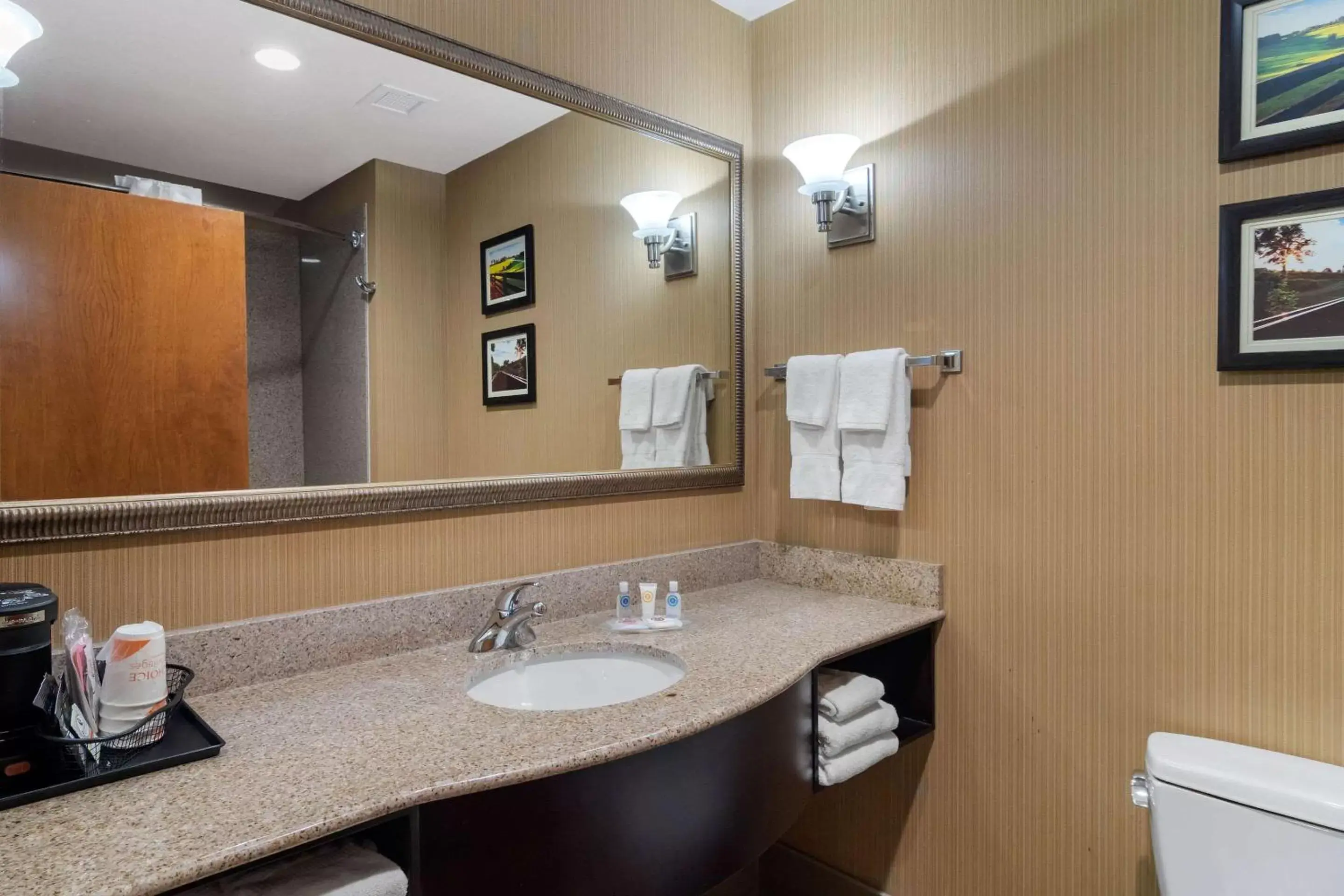 Bathroom in Comfort Suites Byron Warner Robins