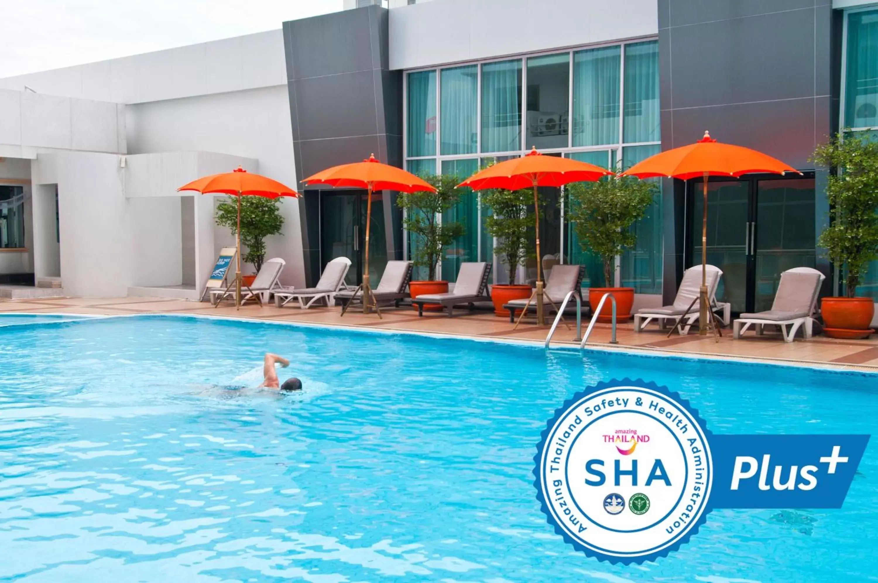 Swimming Pool in Avana Hotel and Convention Centre SHA Extra Plus