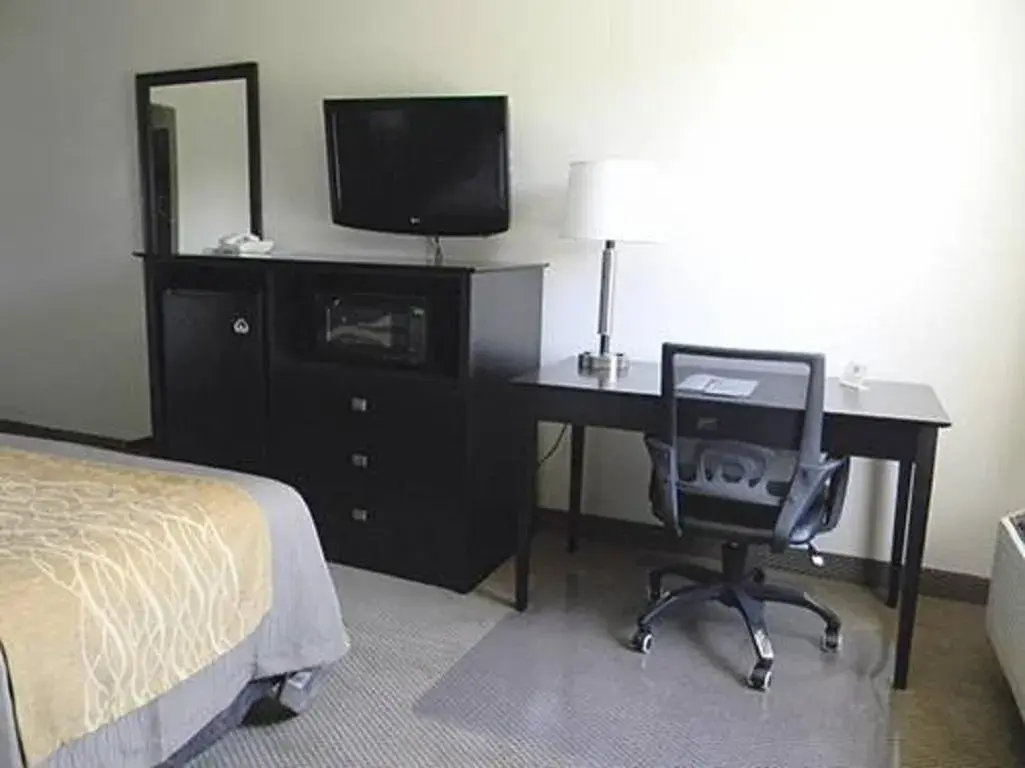 Decorative detail, TV/Entertainment Center in Boarders Inn & Suites by Cobblestone Hotels - Munising