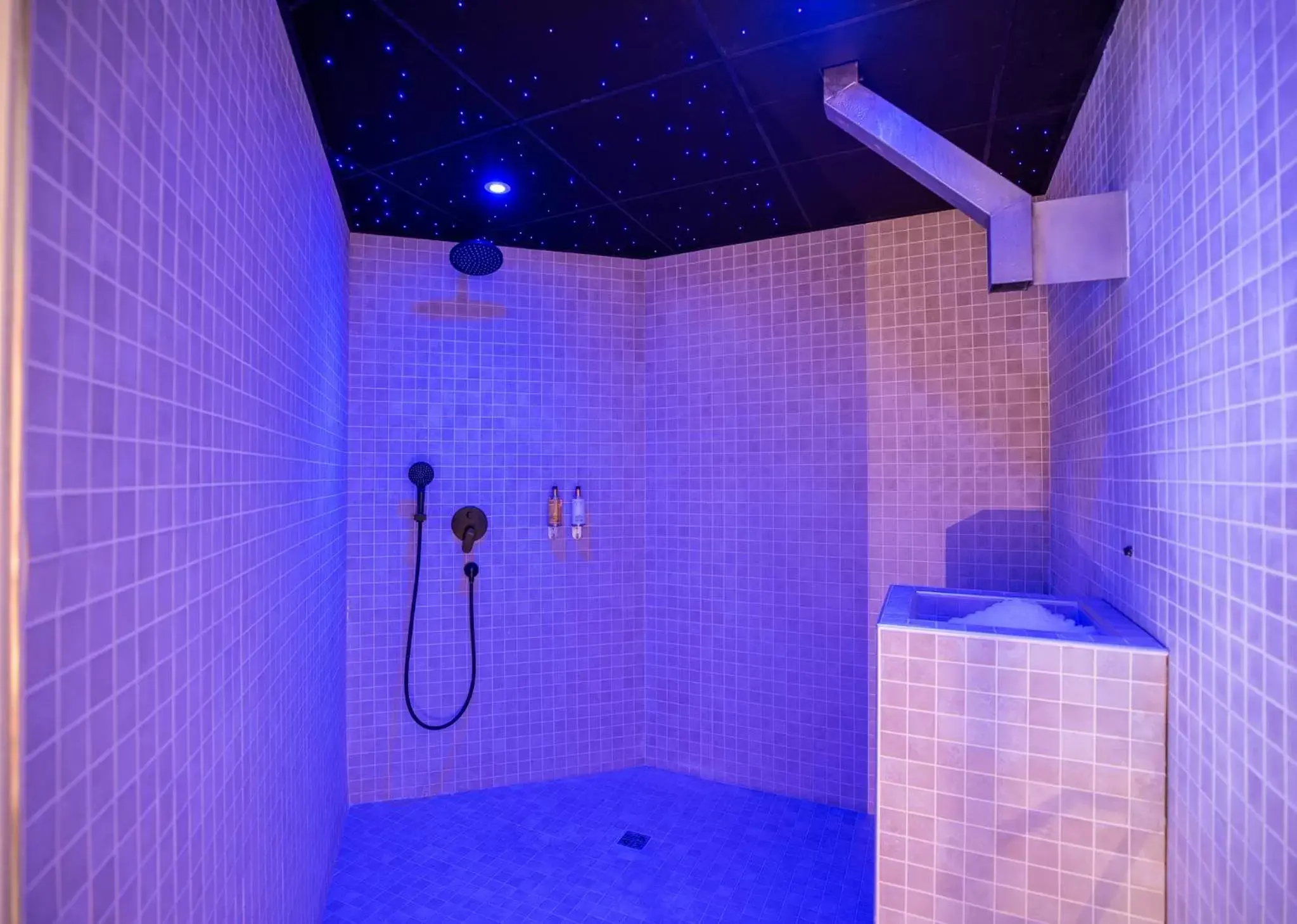 Spa and wellness centre/facilities, Bathroom in Hotel Normandy