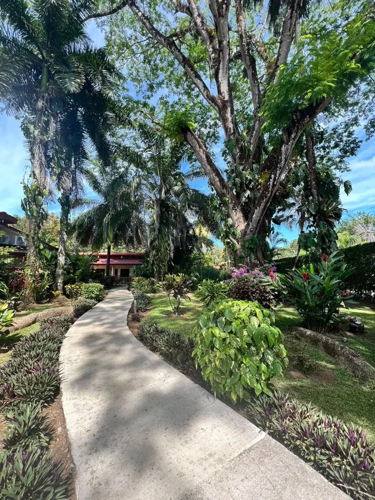 Mountain view, Garden in La Foresta Nature Resort