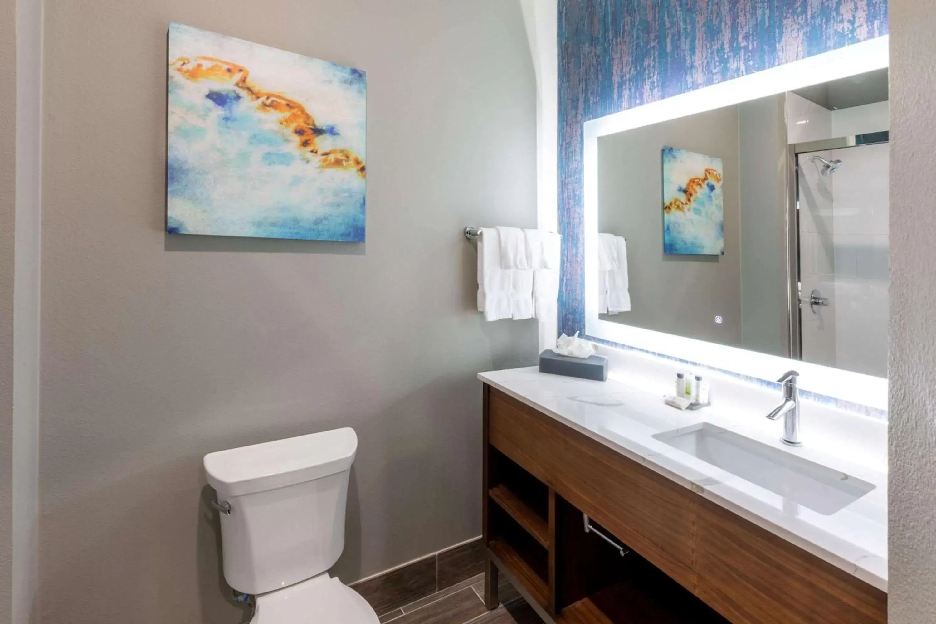 Bathroom in La Quinta Inn & Suites by Wyndham Frisco
