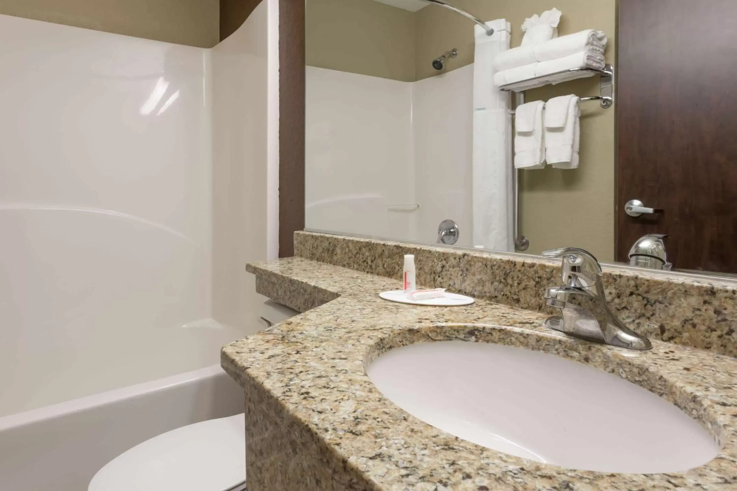 Bathroom in Microtel Inn & Suites by Wyndham Jacksonville Airport