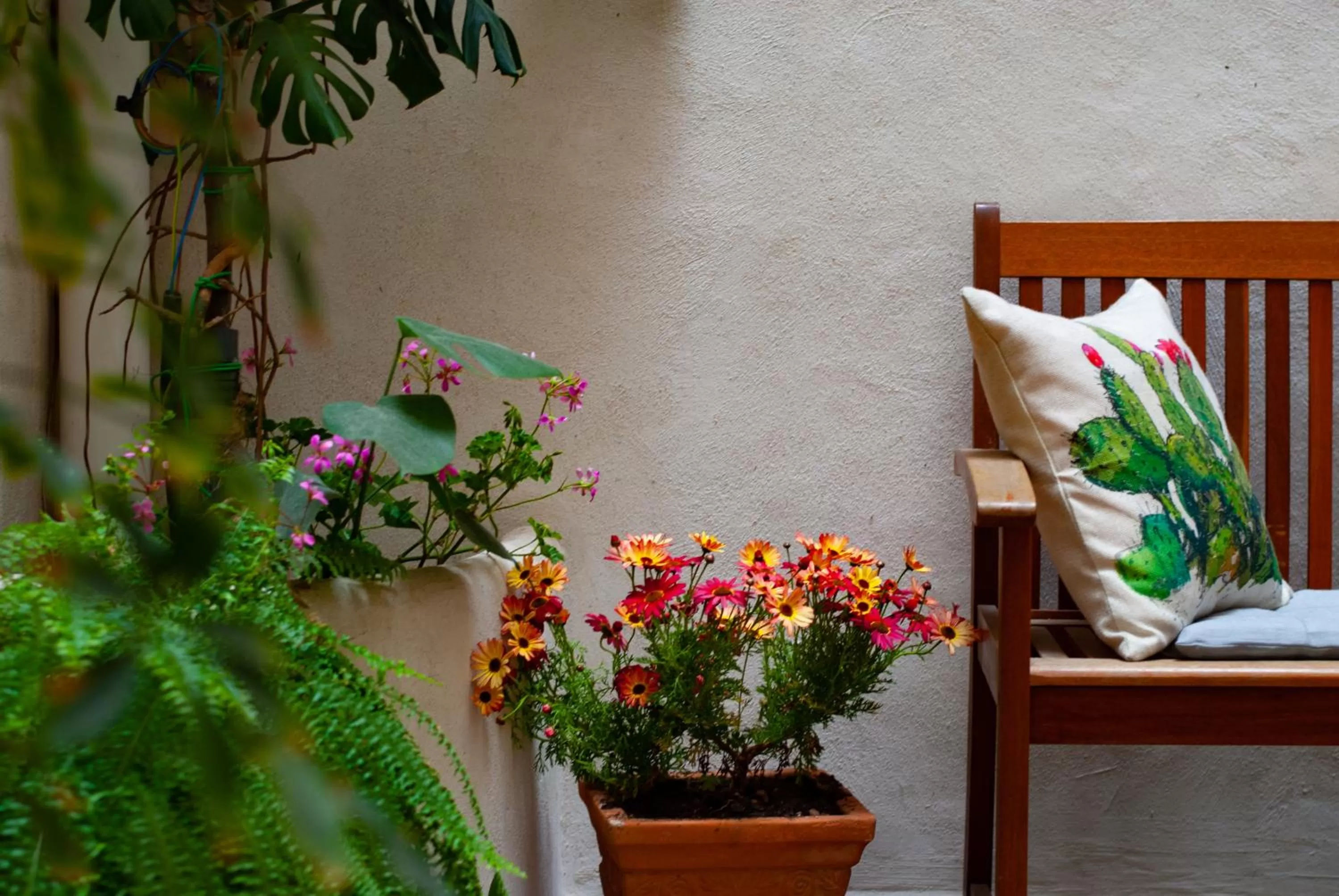 Balcony/Terrace in Affittacamere B&B Carella
