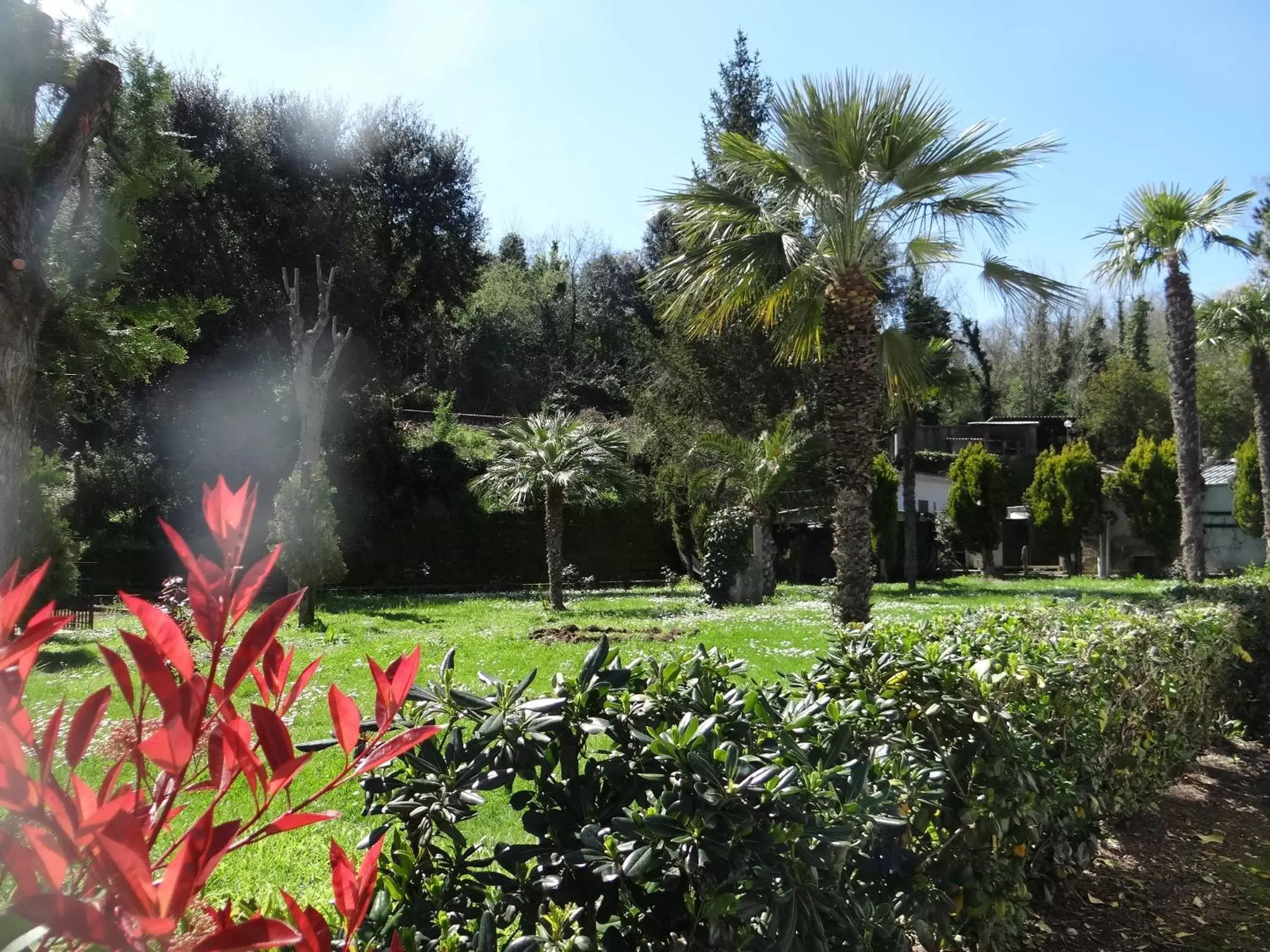 Garden in Hotel Boomerang Roma