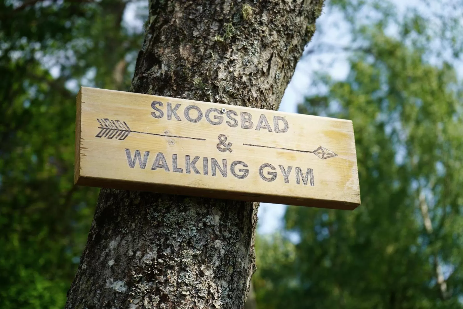 Activities in Marholmen