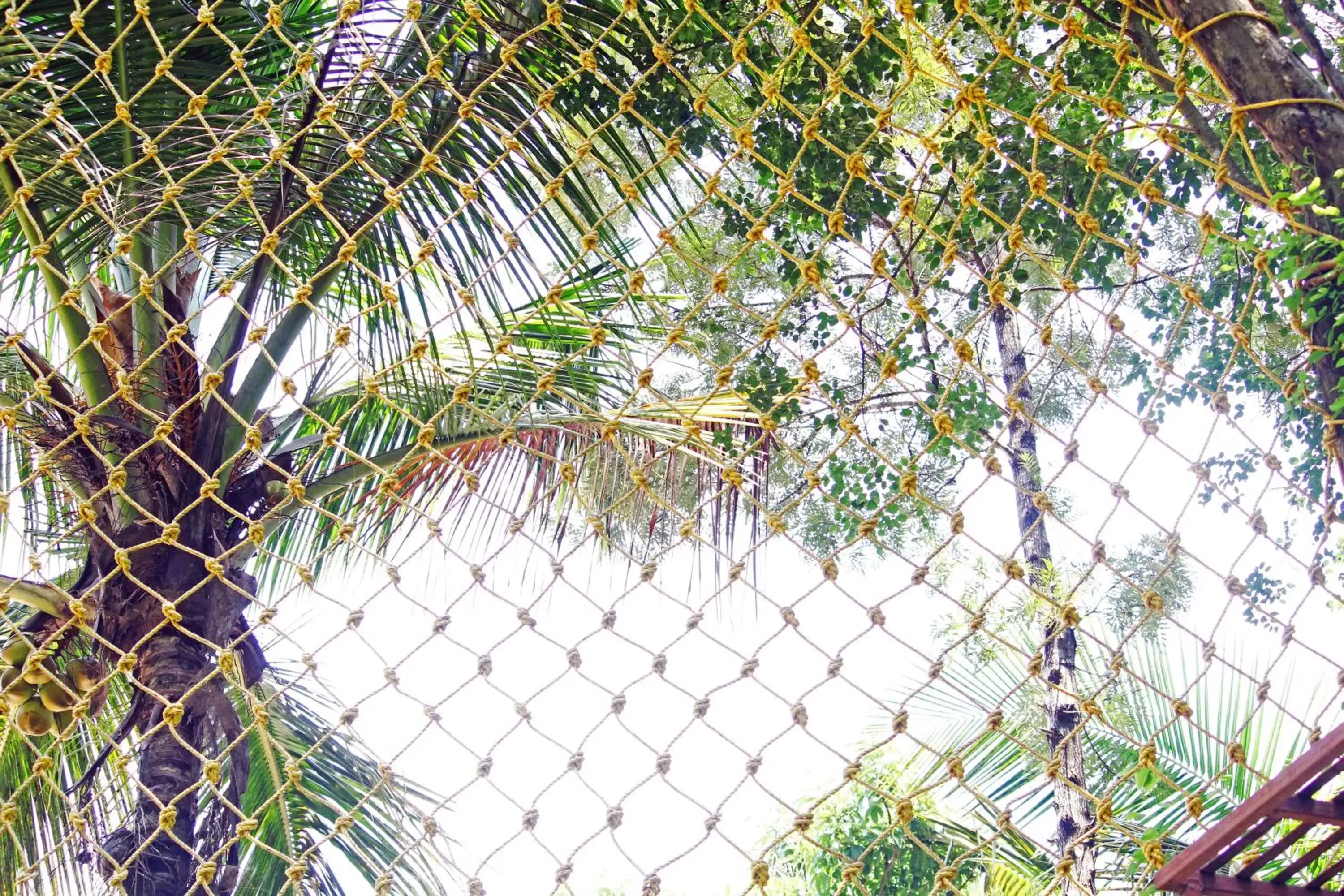 Property building in CS County Resort Property building in CS County Resort