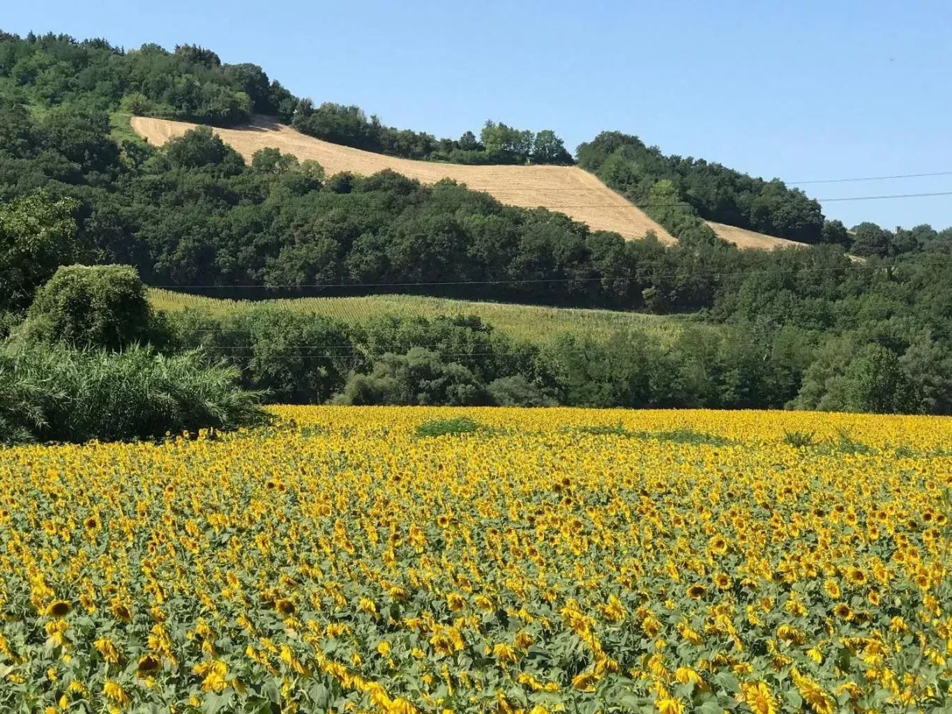 Natural Landscape in Antica Fonte holiday home