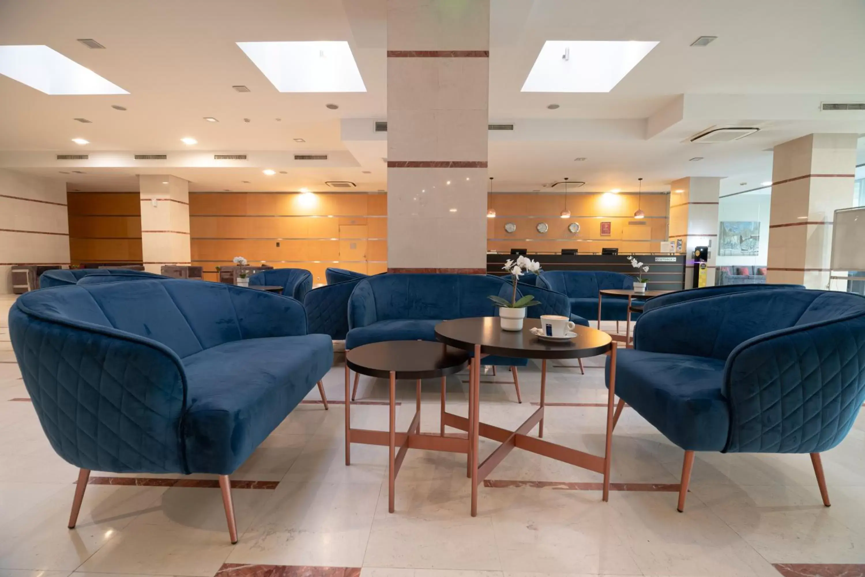 Lobby or reception in Vitosha Park Hotel