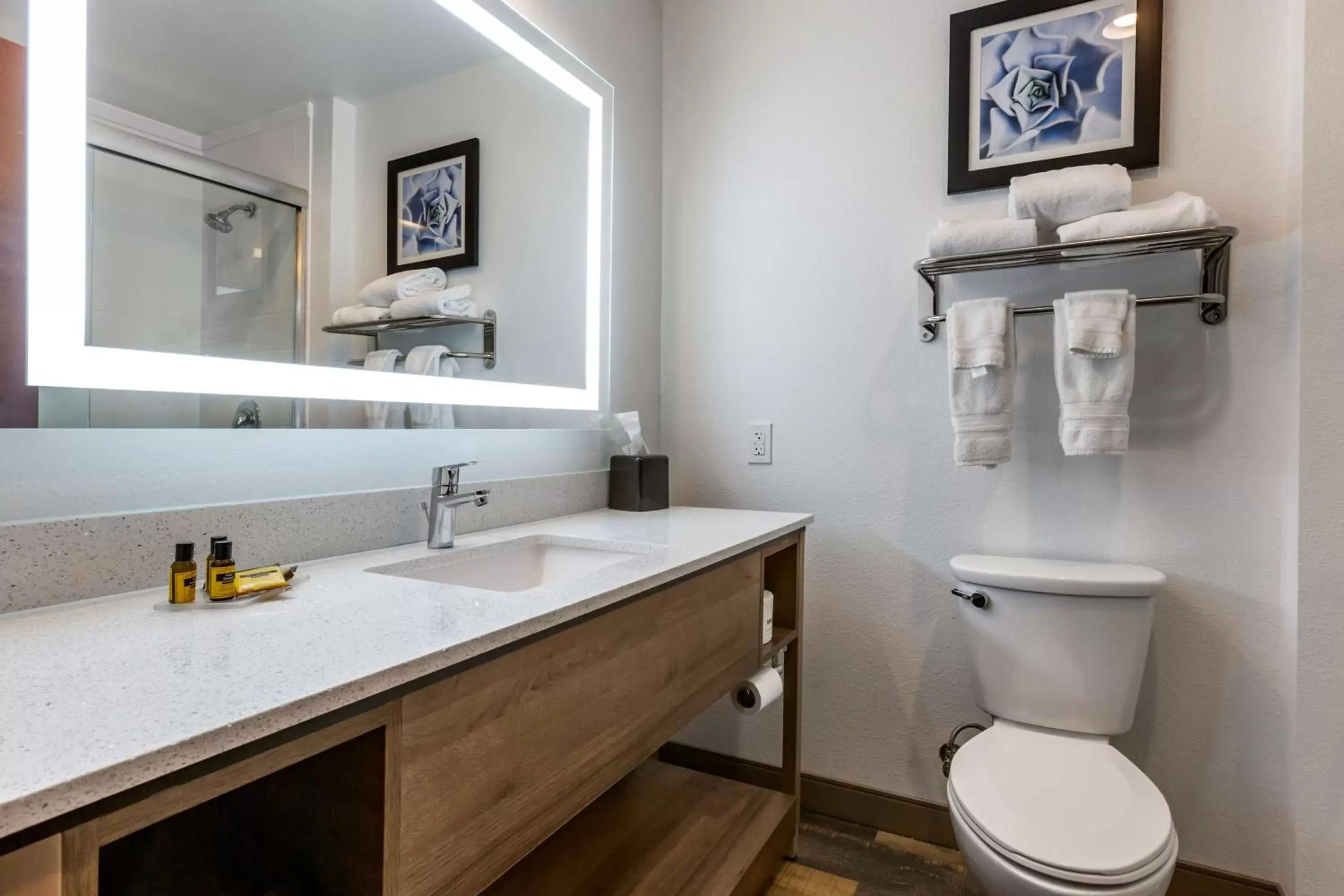 King Room with Communication Assistance in Best Western Plus Casa Grande Inn & Suites King Room with Communication Assistance in Best Western Plus Casa Grande Inn & Suites