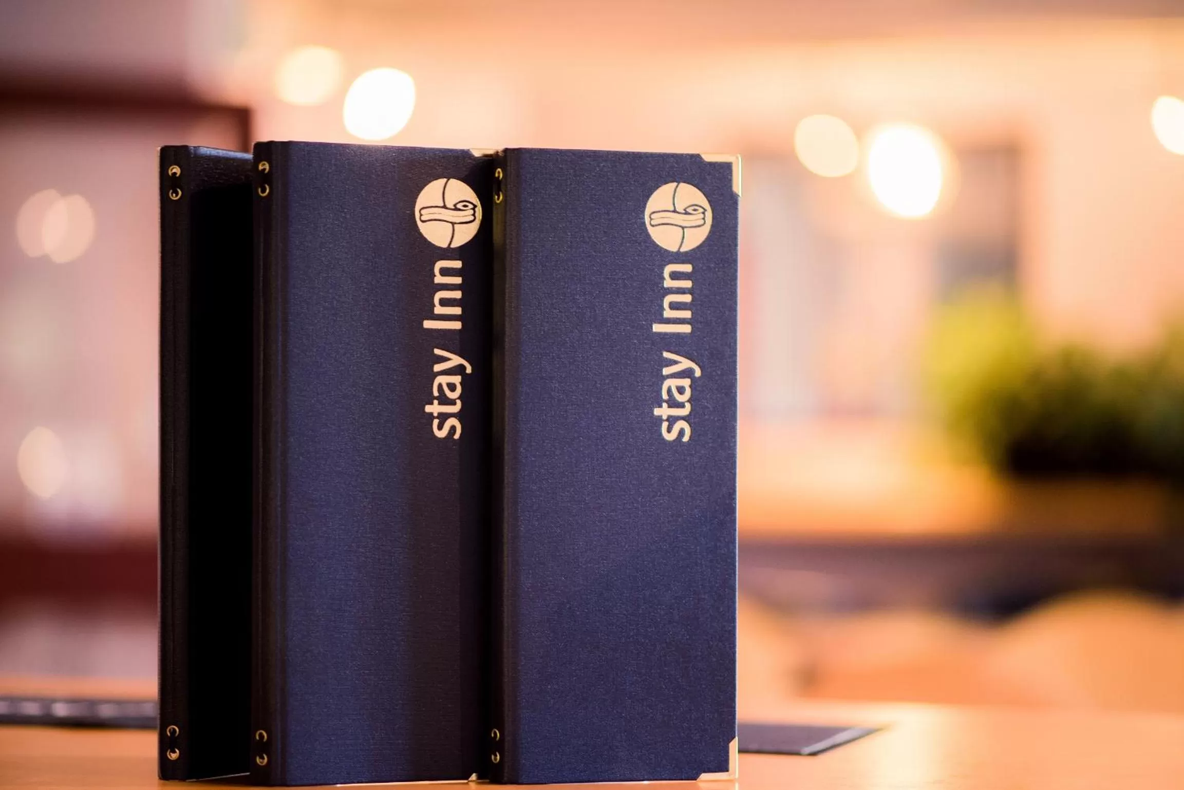 Restaurant/places to eat in Stay Inn Manchester