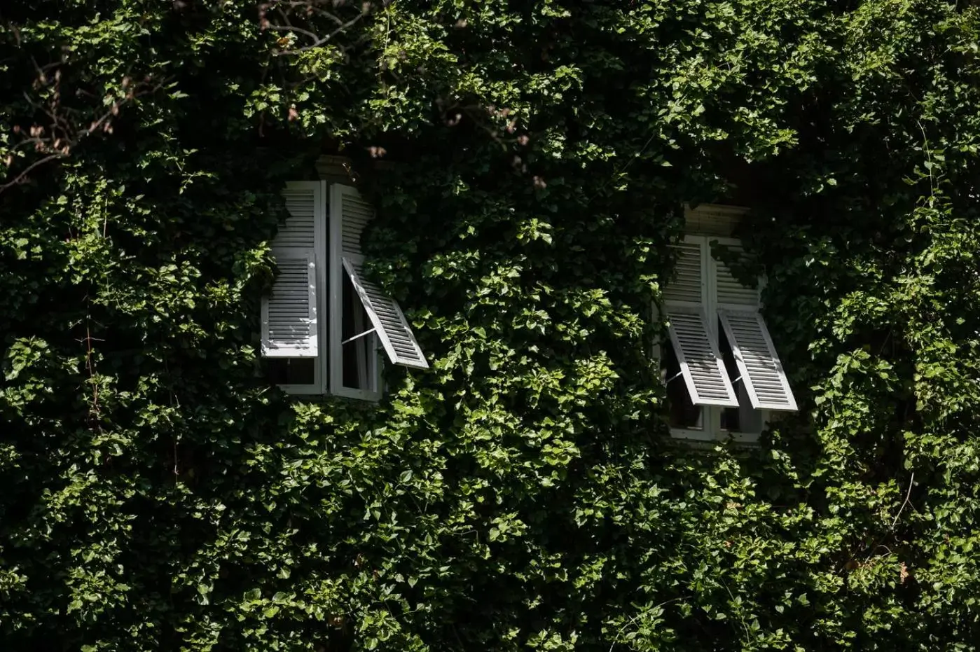 Property building in Parkhotel Mondschein, a Member of Design Hotels Property building in Parkhotel Mondschein, a Member of Design Hotels