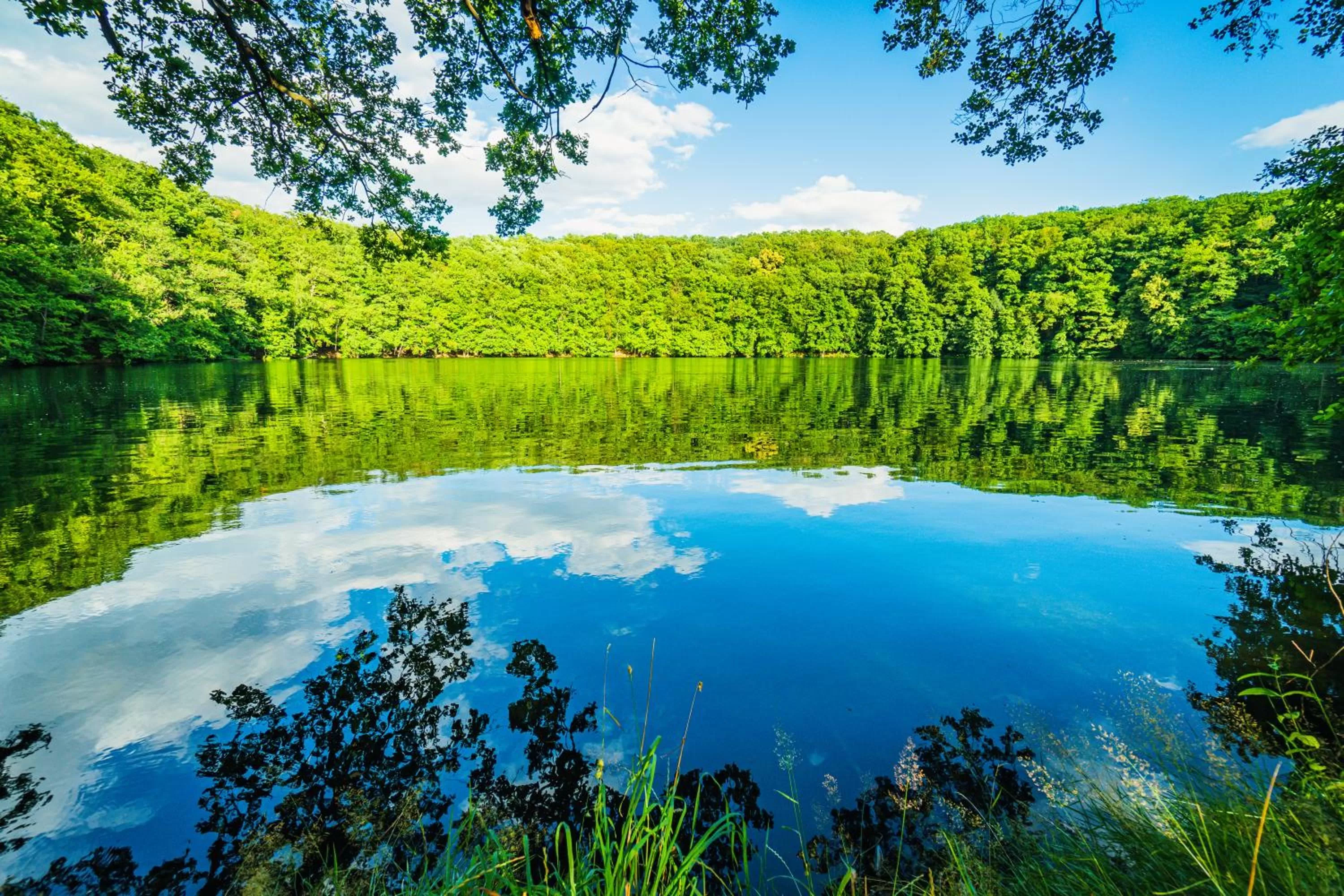 Natural landscape in Familienhotel "Rhön Feeling"