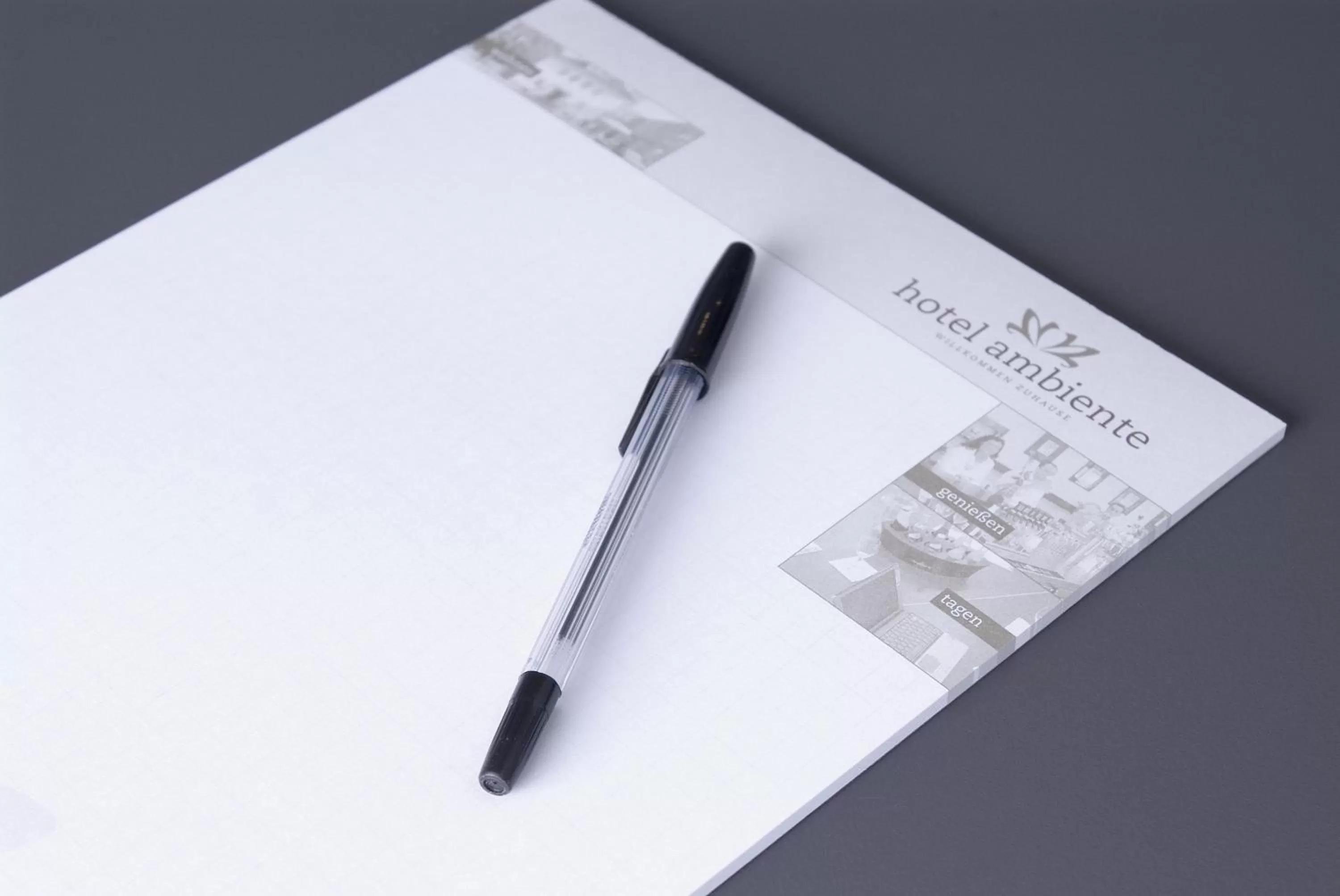 Business facilities in Hotel Ambiente