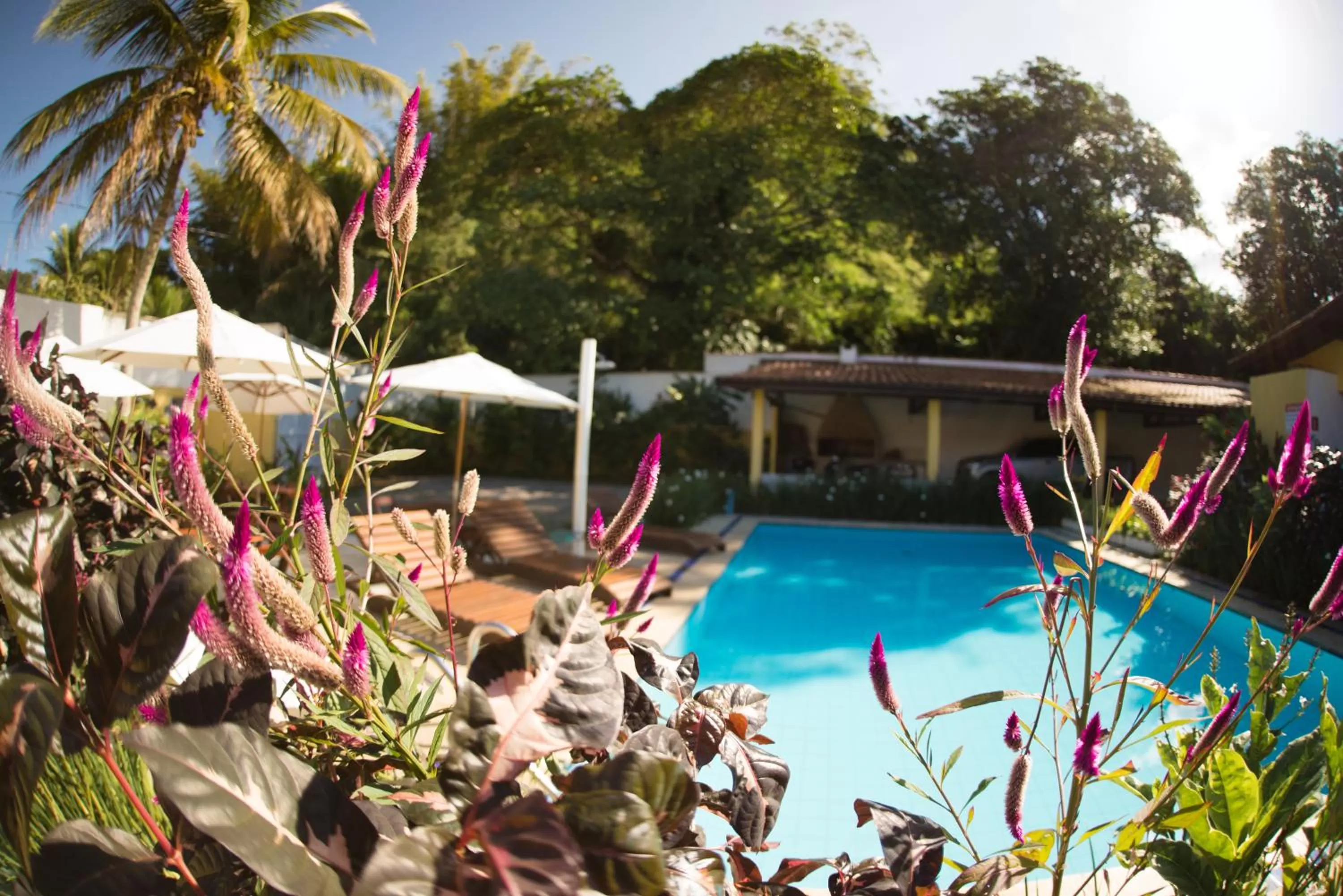 Natural landscape in Pousada Viva Ubatuba