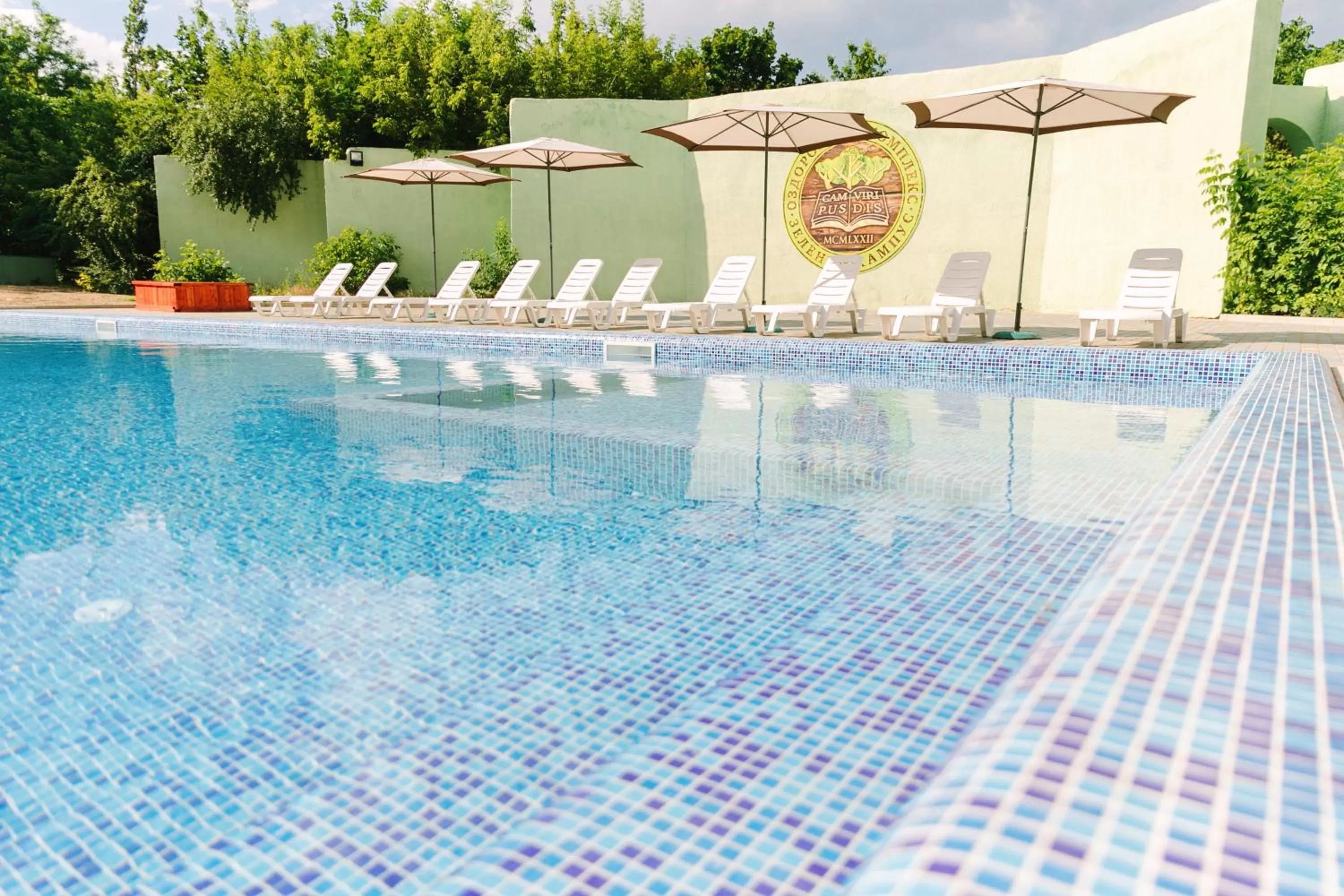 Swimming pool in Zelenyi Kampus