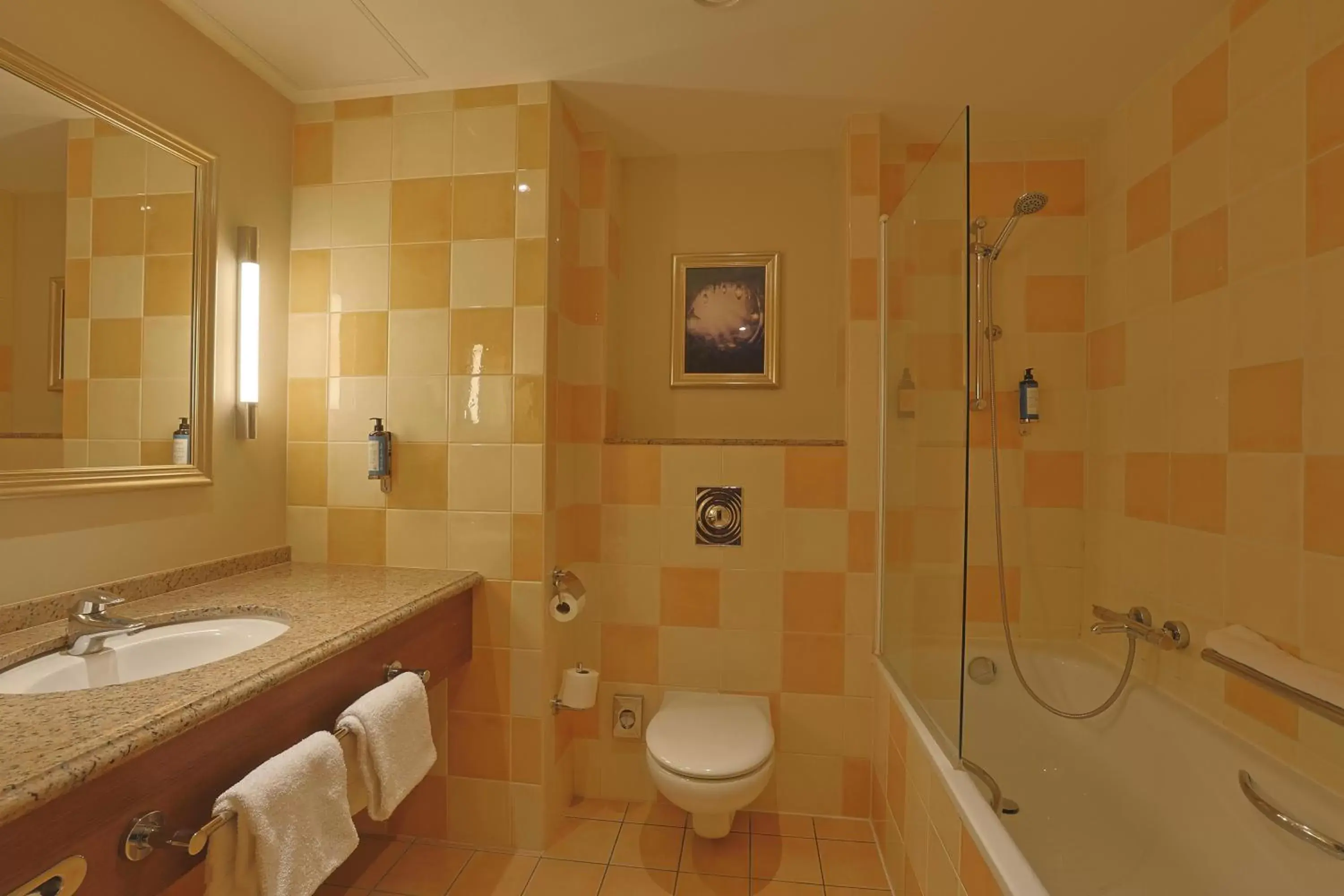 Bathroom in Dream Castle Hotel Marne La Vallee