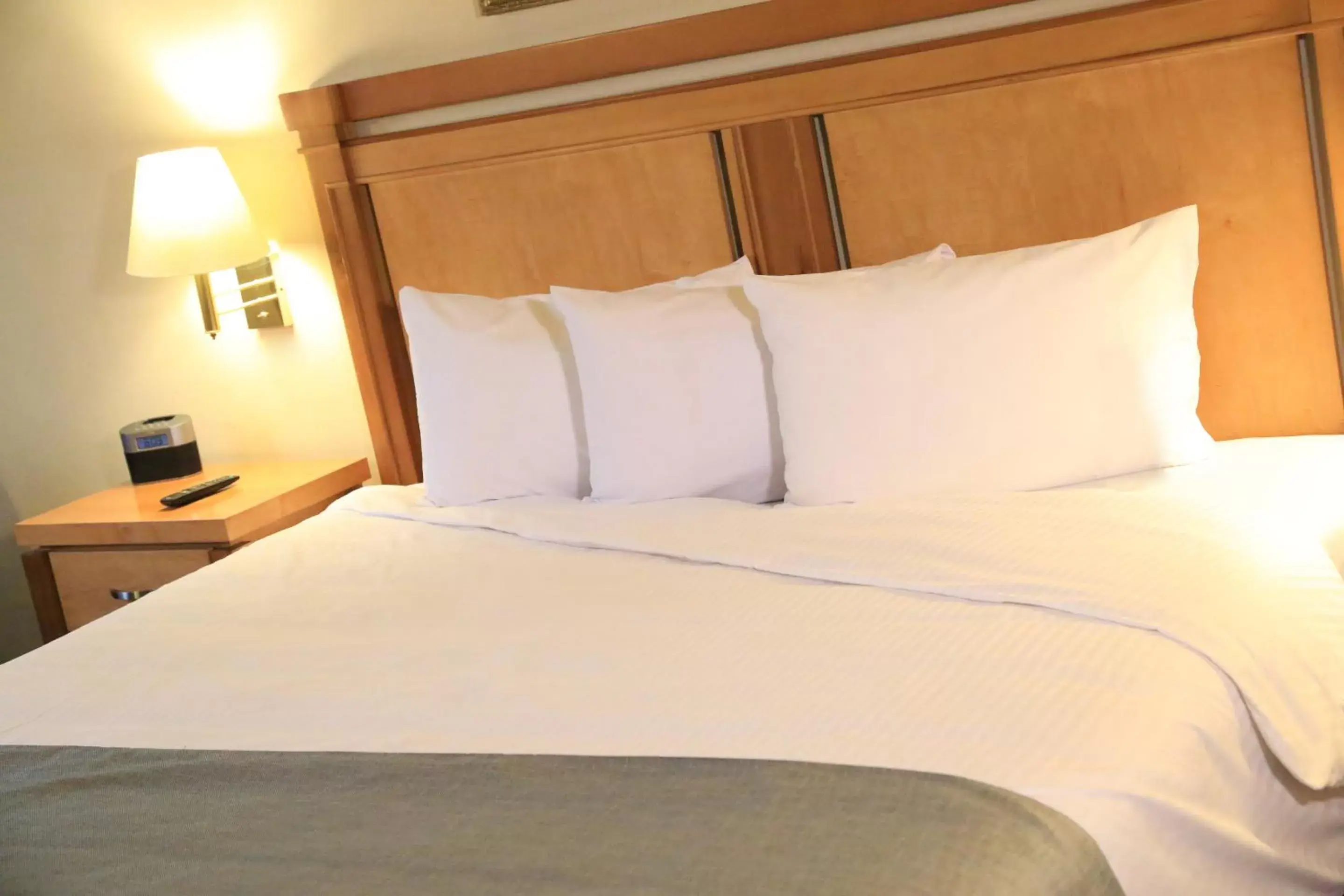 Decorative detail, Bed in Quality Inn & Suites Saltillo Eurotel