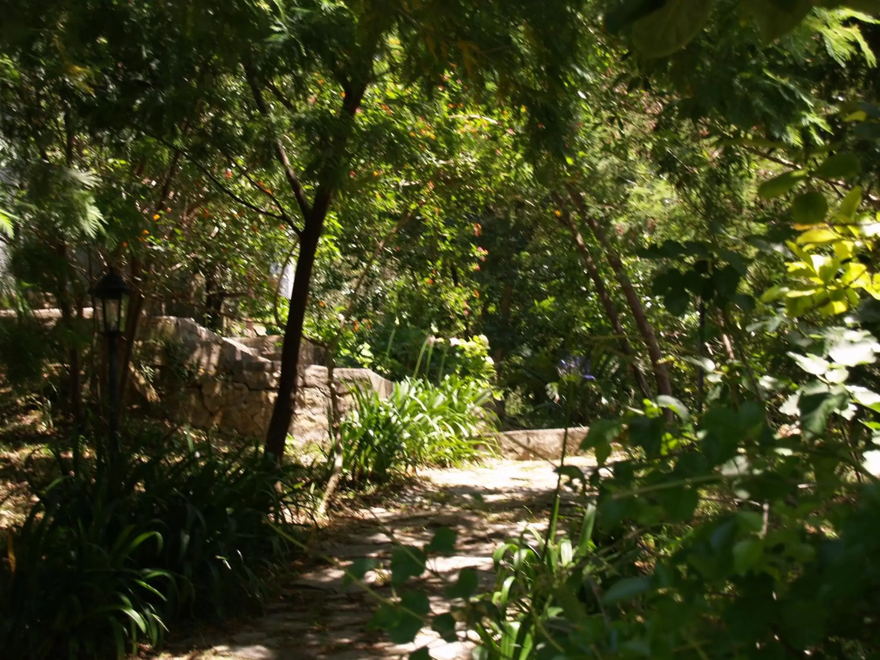 Garden in Mesón de Sancho