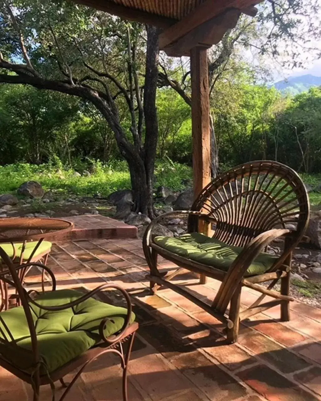 Area and facilities in El Pedregal - Hotel en la Naturaleza