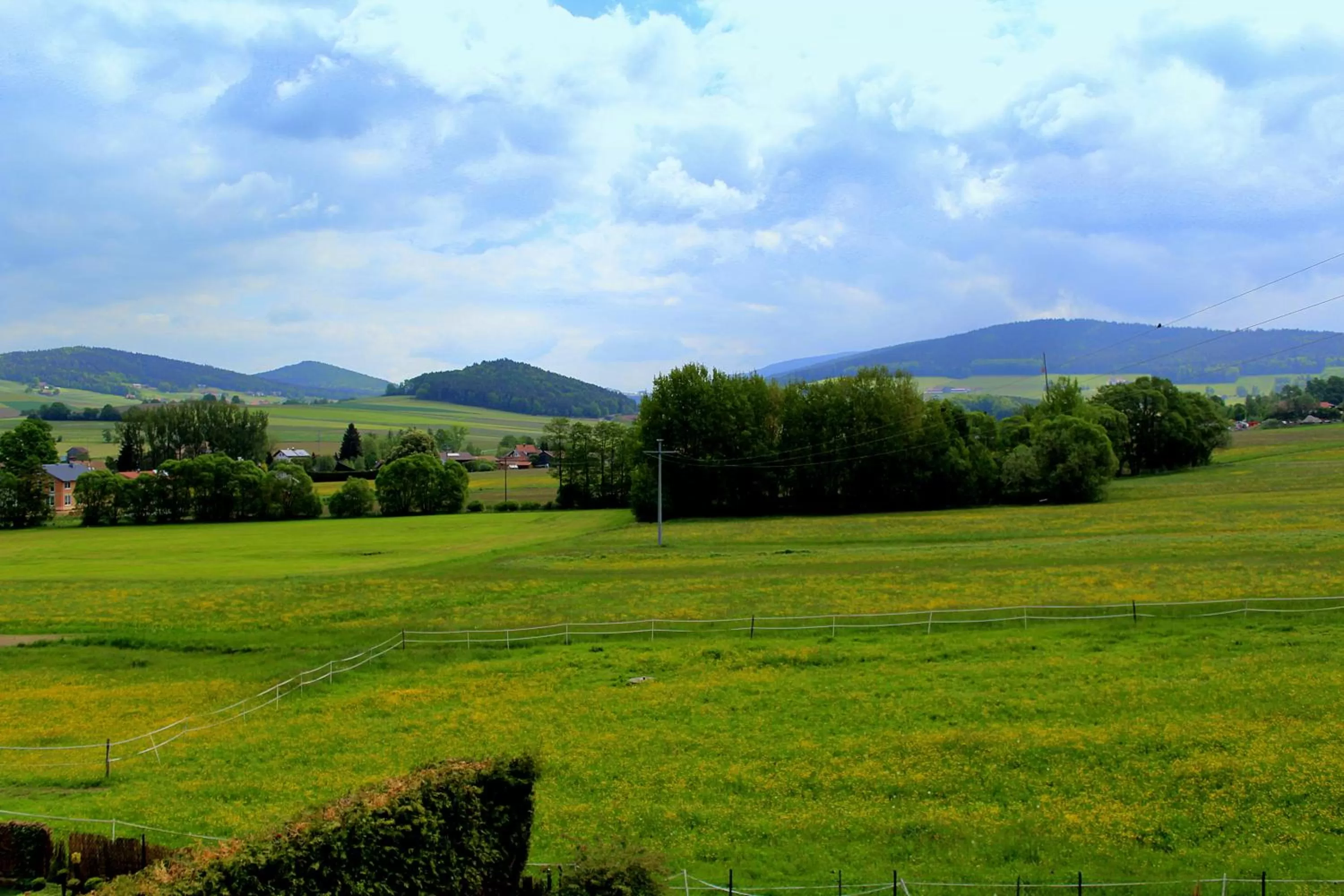Garden in Genusshotel Hohenbogen