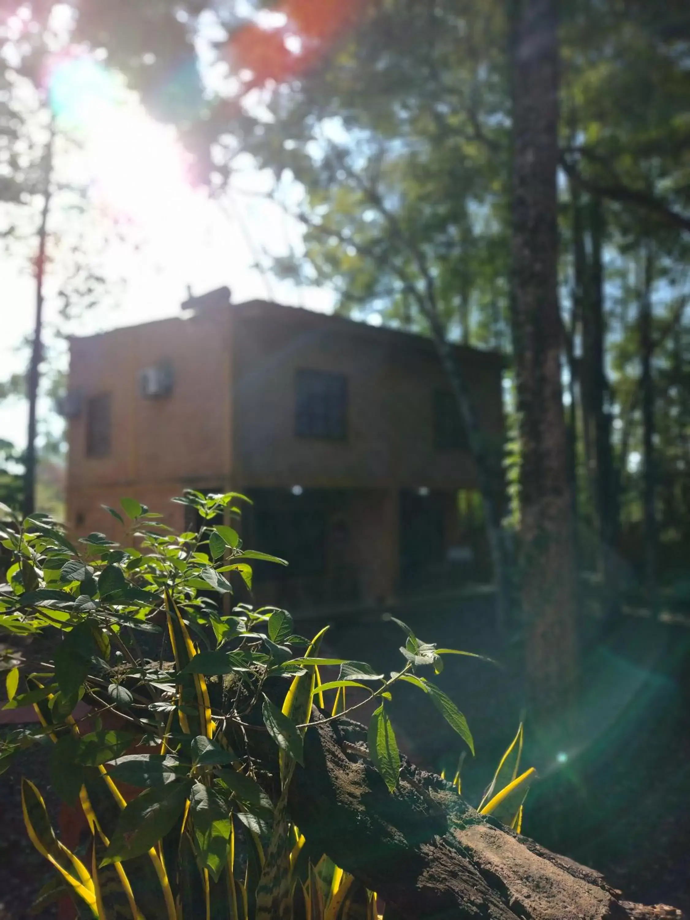 Property Building in La Cautiva Iguazú Hotel