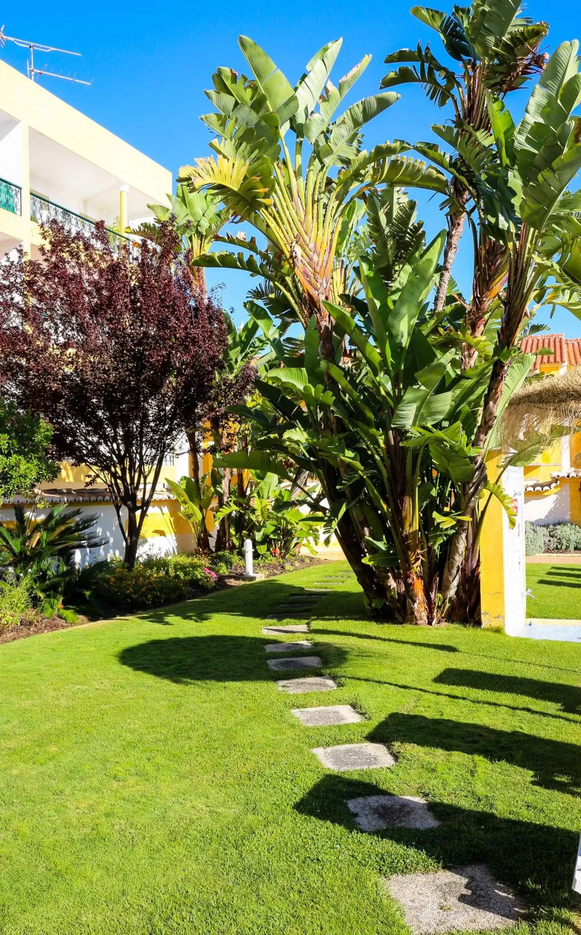 Swimming pool, Garden in Giramar Apartamentos Turisticos