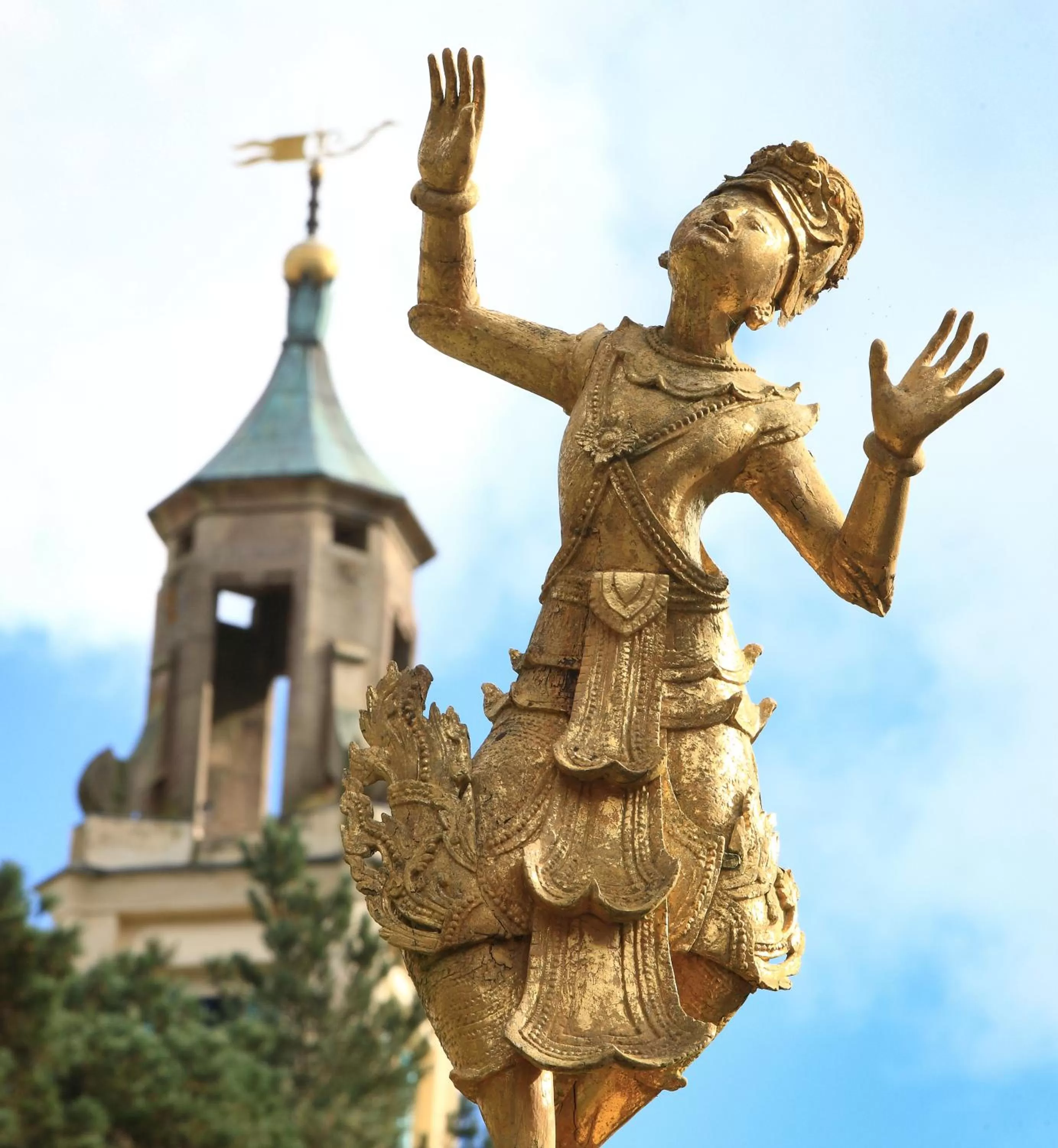 Area and facilities in Portmeirion Village & Castell Deudraeth