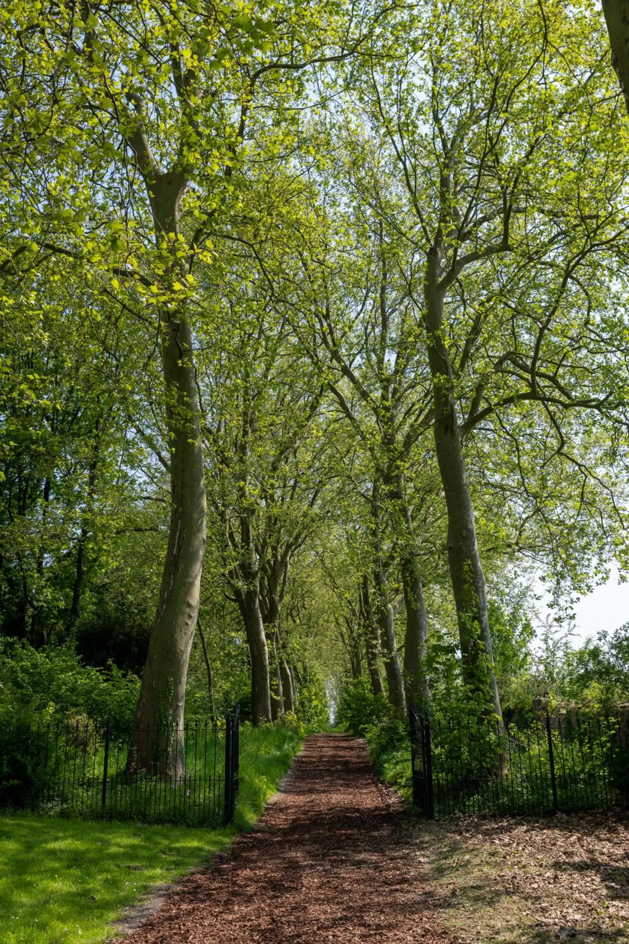 Natural landscape in Martin's Rentmeesterij
