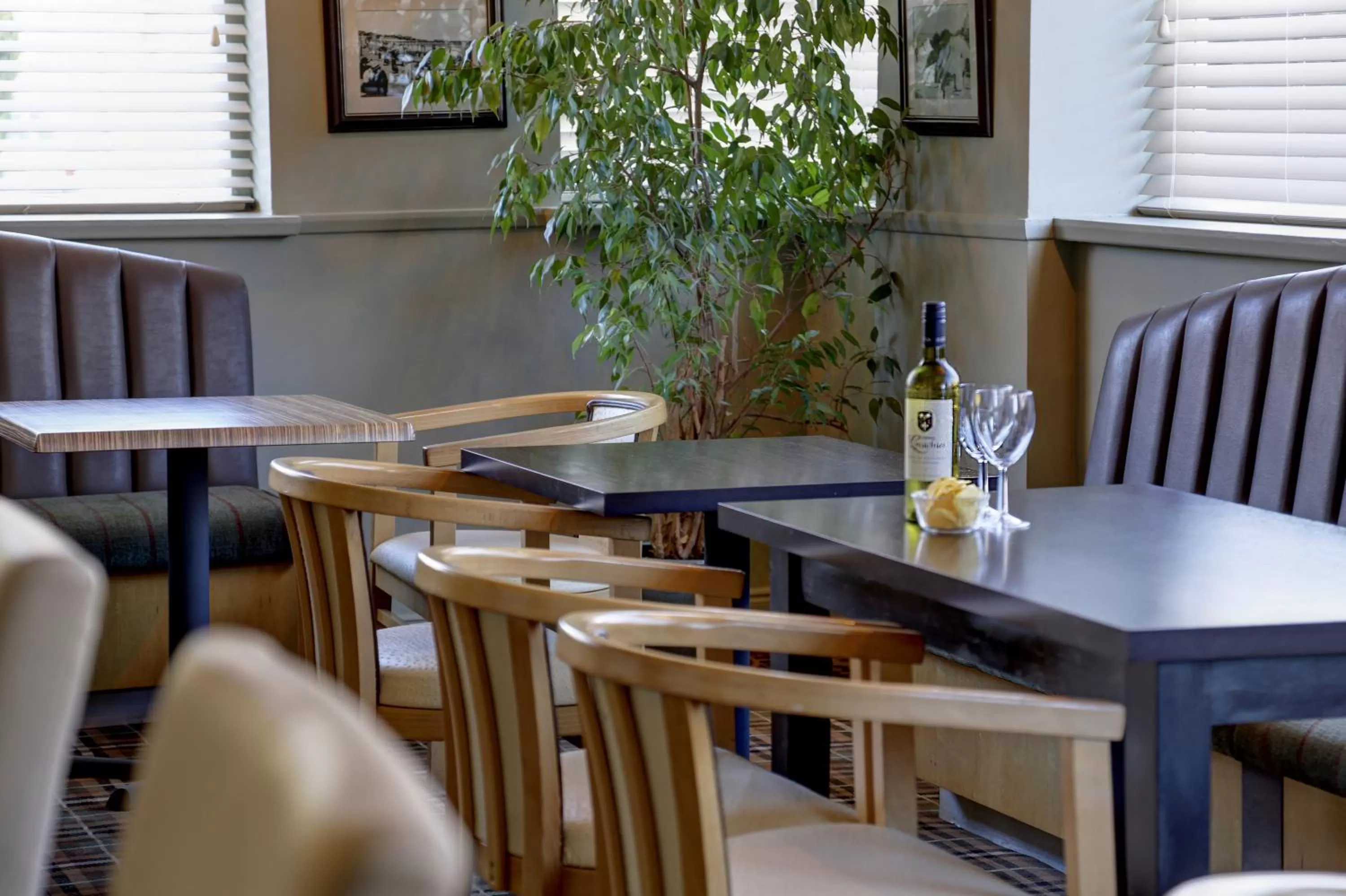 Lounge or bar, Restaurant/Places to Eat in Best Western Brook Hotel