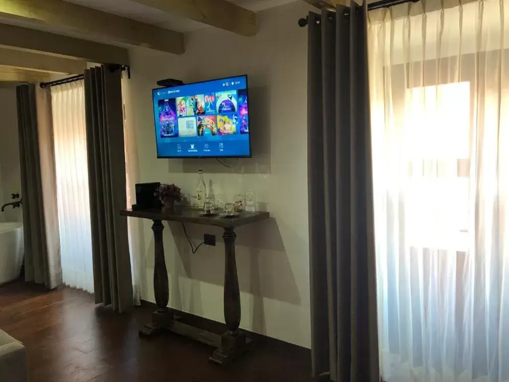 TV/Entertainment Center in The Essentia Hotel San Miguel