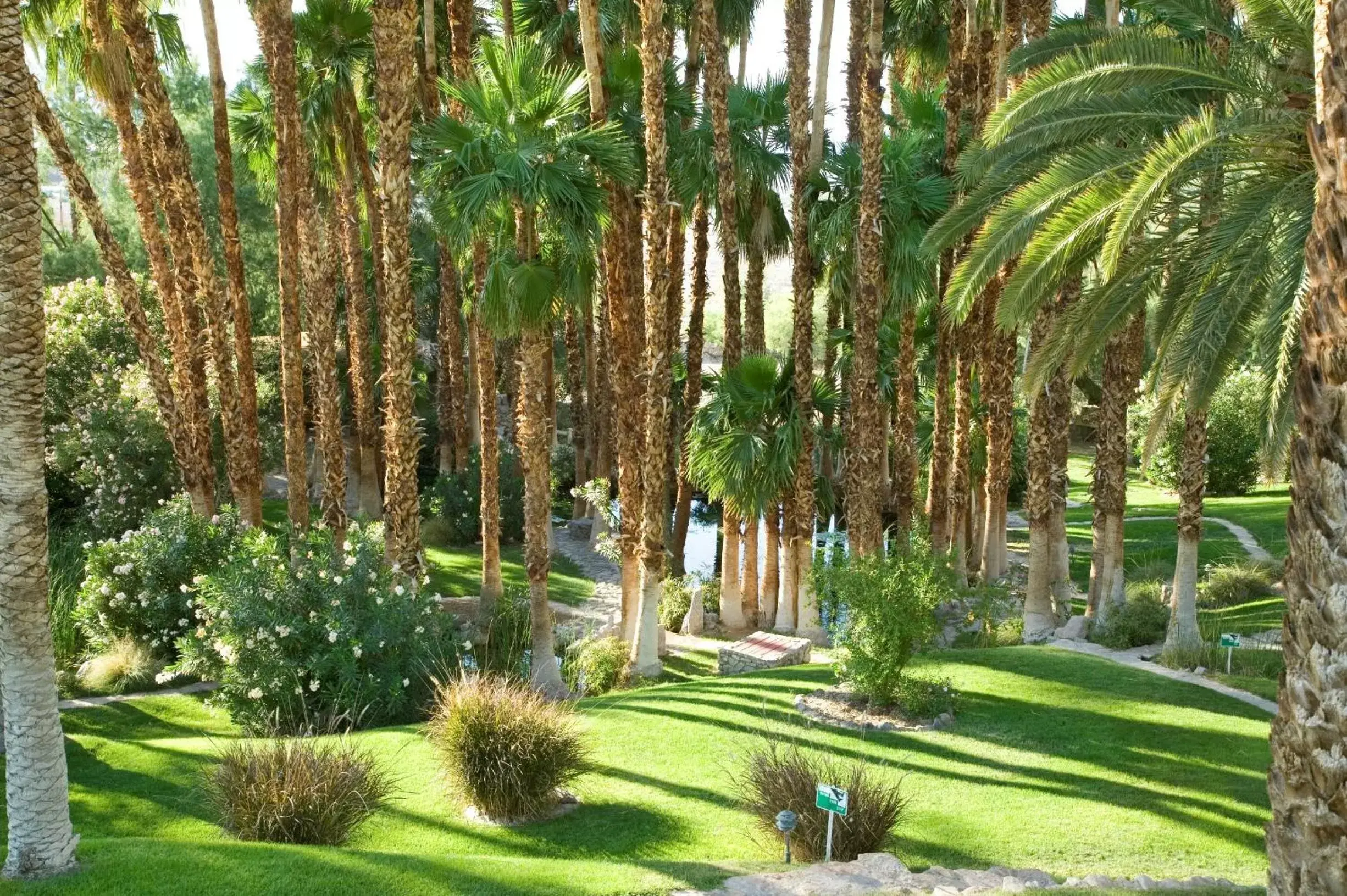 Garden in The Inn at Death Valley