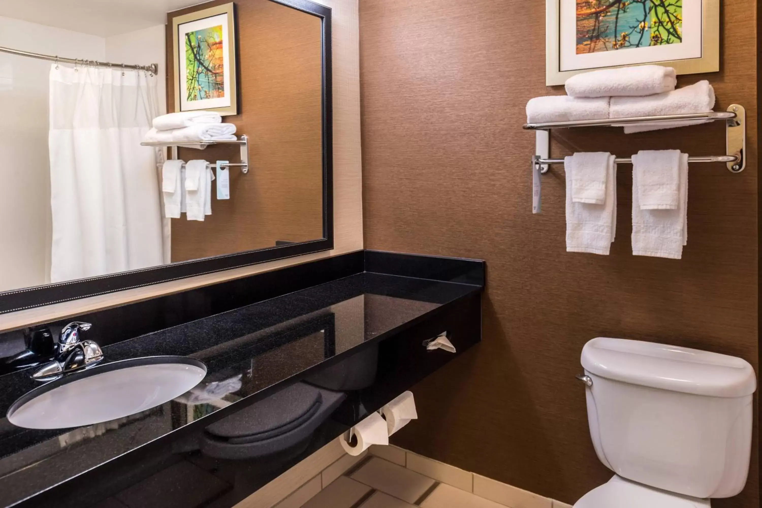 Bathroom in Fairfield Inn & Suites by Marriott Olean