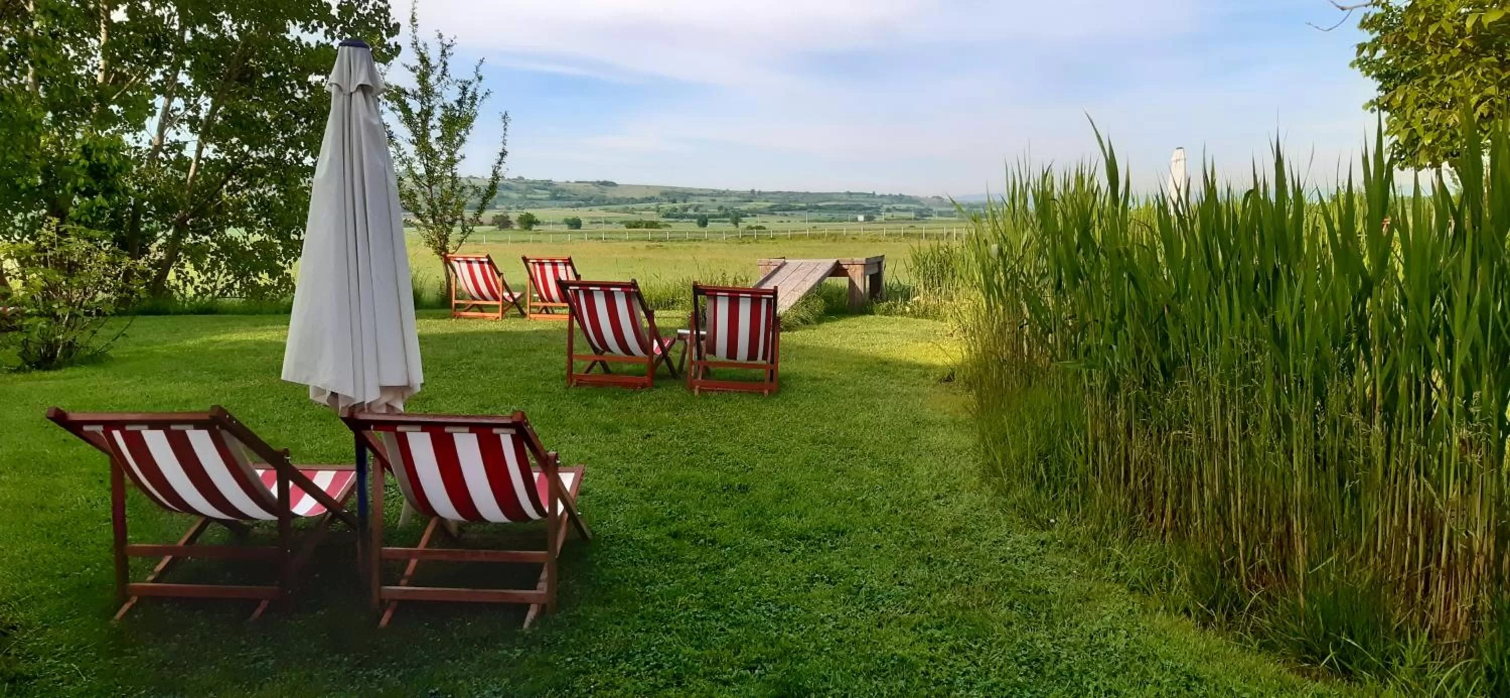 Garden in Hotel Gracanica