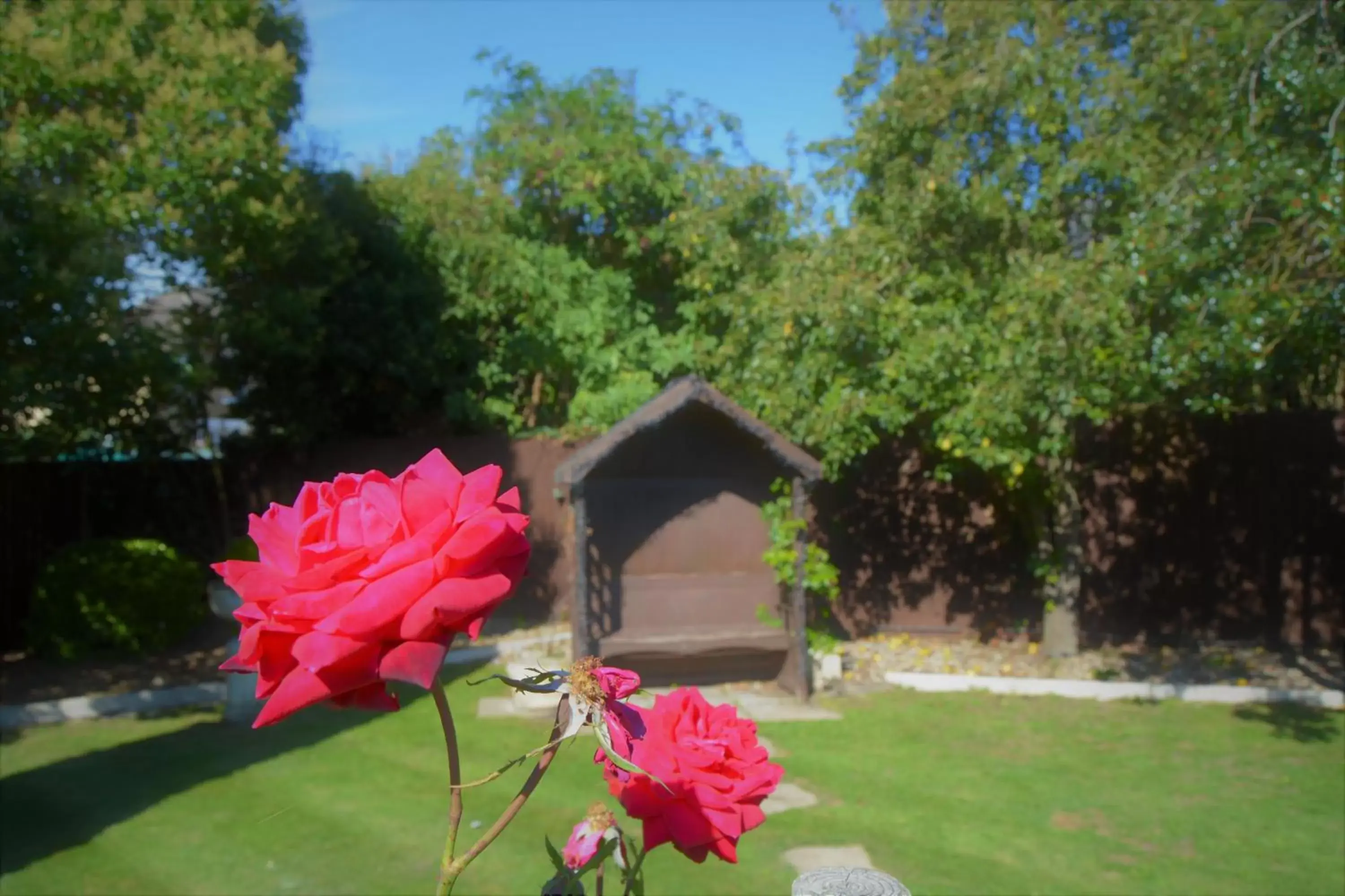 Garden view, Garden in Oliver Cromwell Hotel