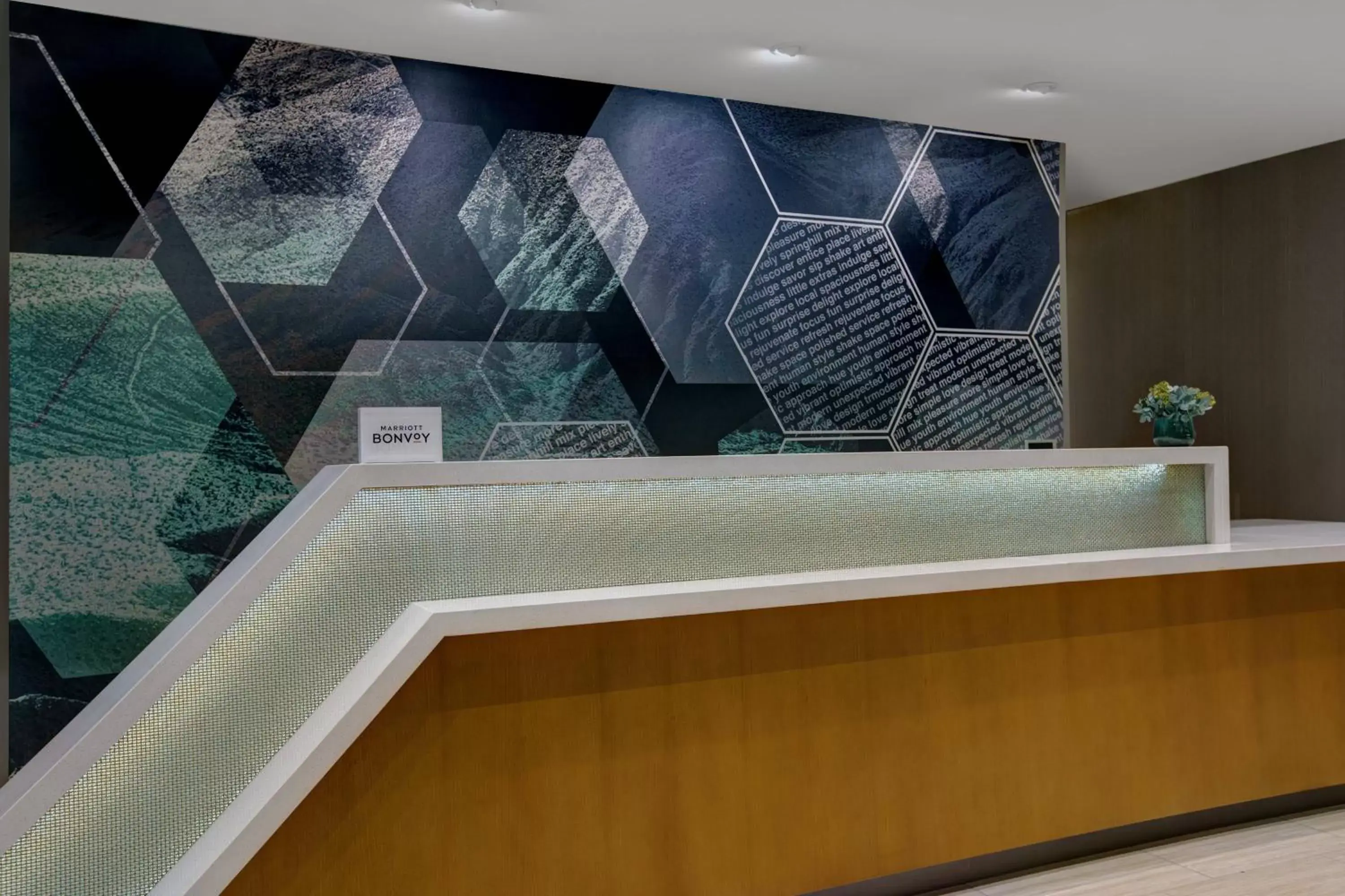 Lobby or reception in SpringHill Suites by Marriott Franklin Cool Springs