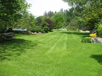 Inner courtyard view, Garden in Interlaken Inn