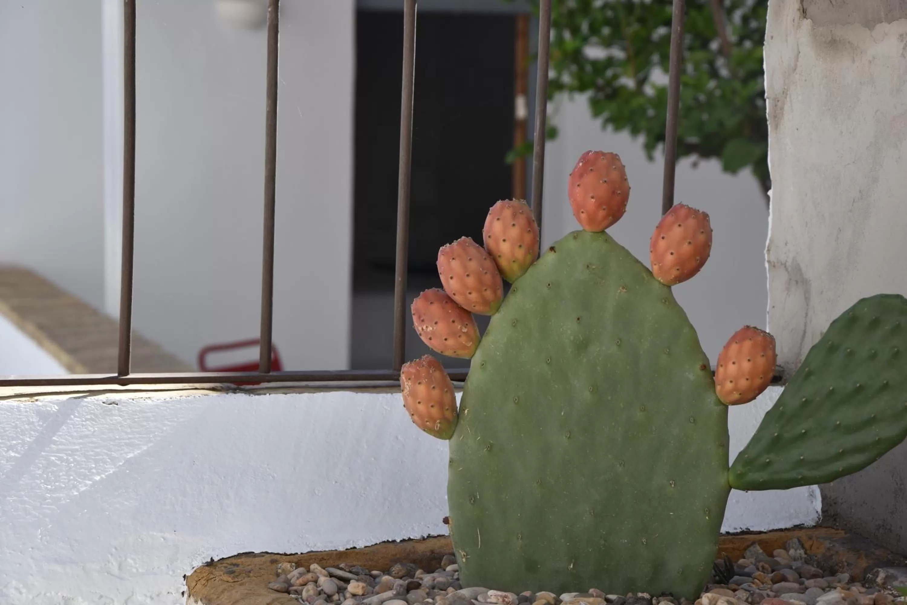 Decorative detail in Casa Almara