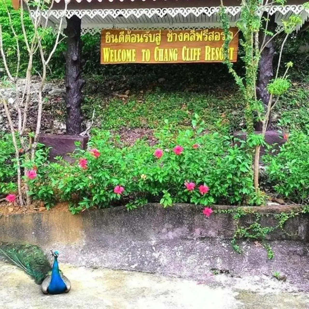 Garden view in Chang Cliff Resort