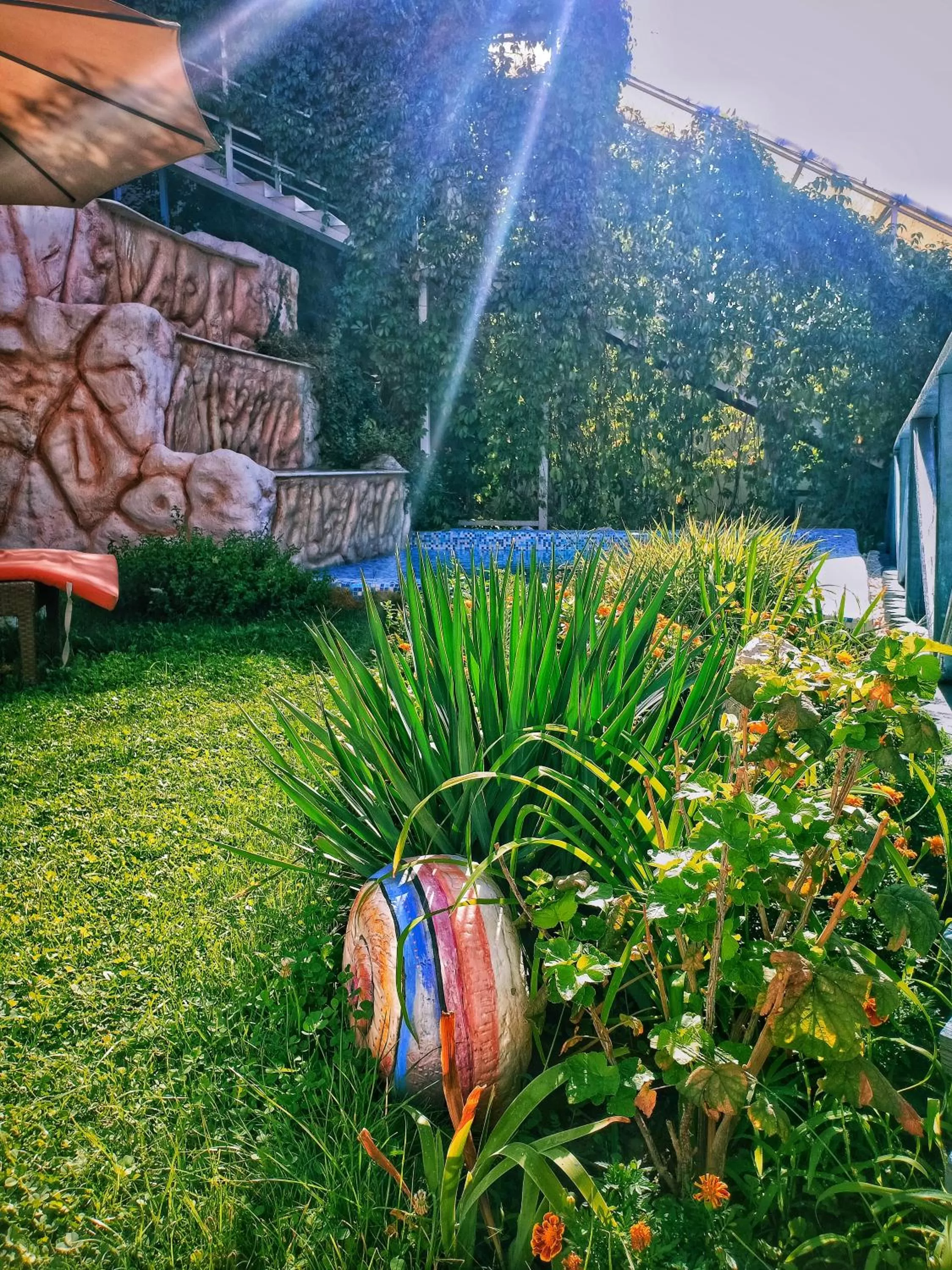 Garden in Sapar Standart Hotel