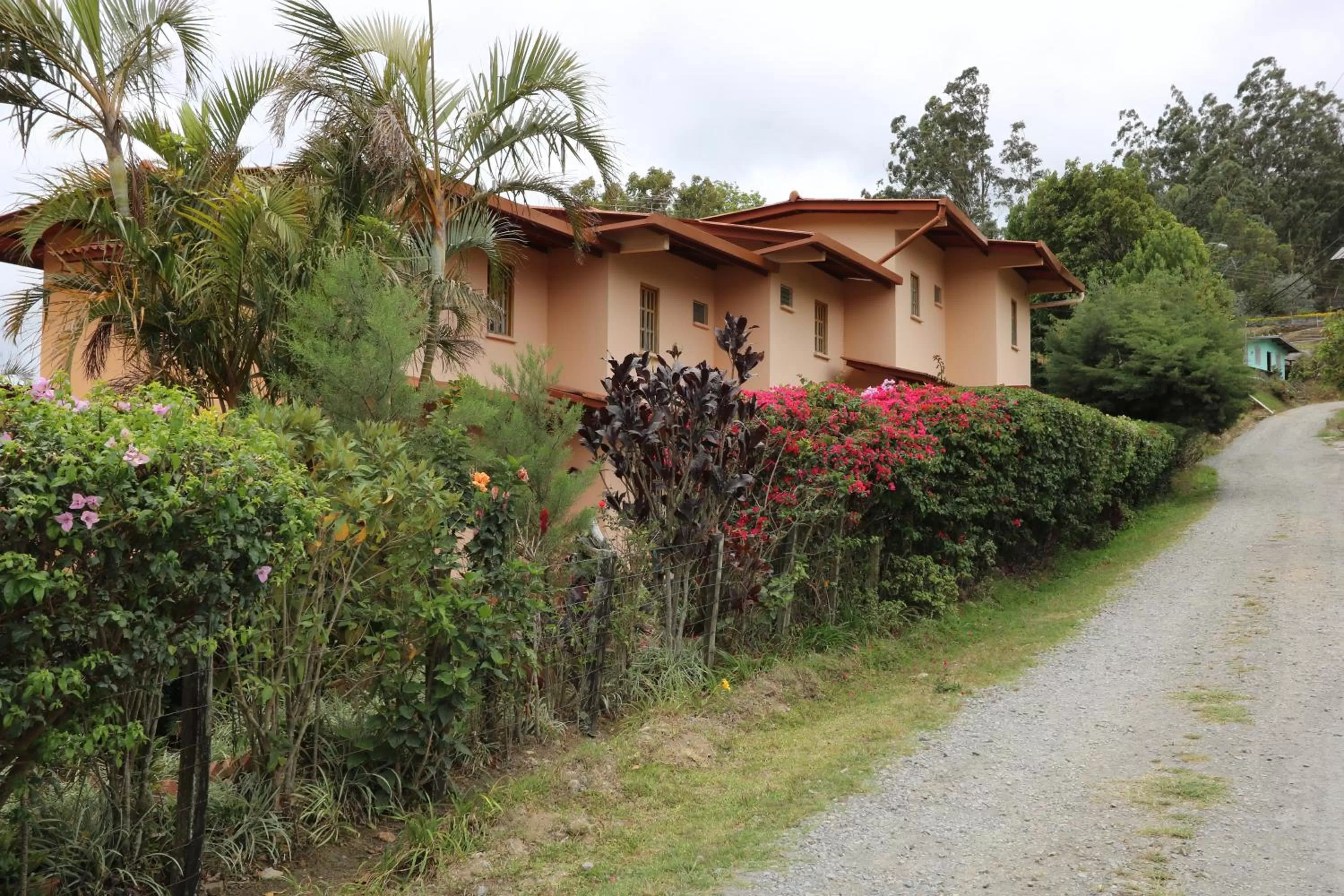 Property Building in Aparthotel Los Pinos