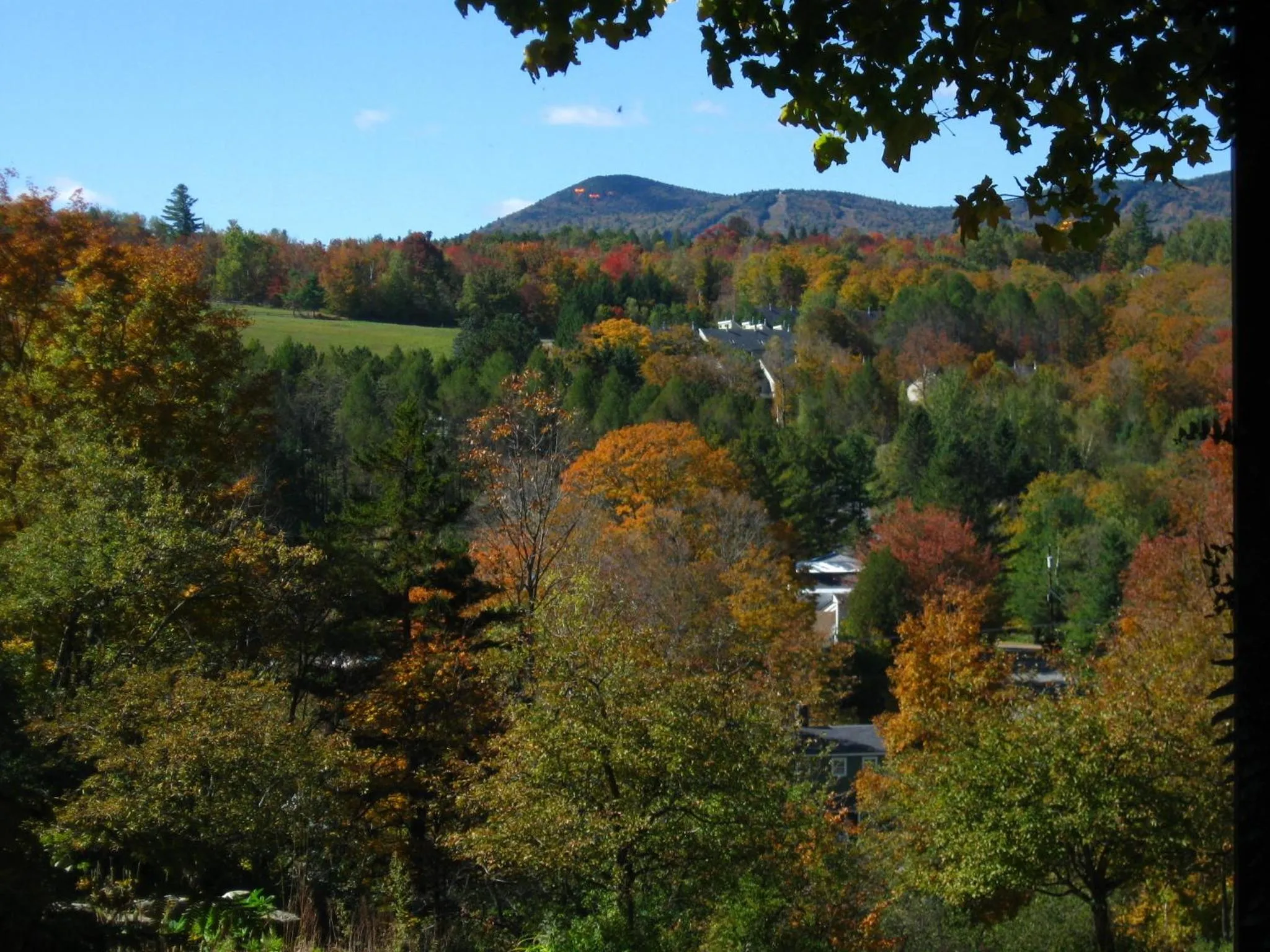 Natural landscape in Deerhill Inn