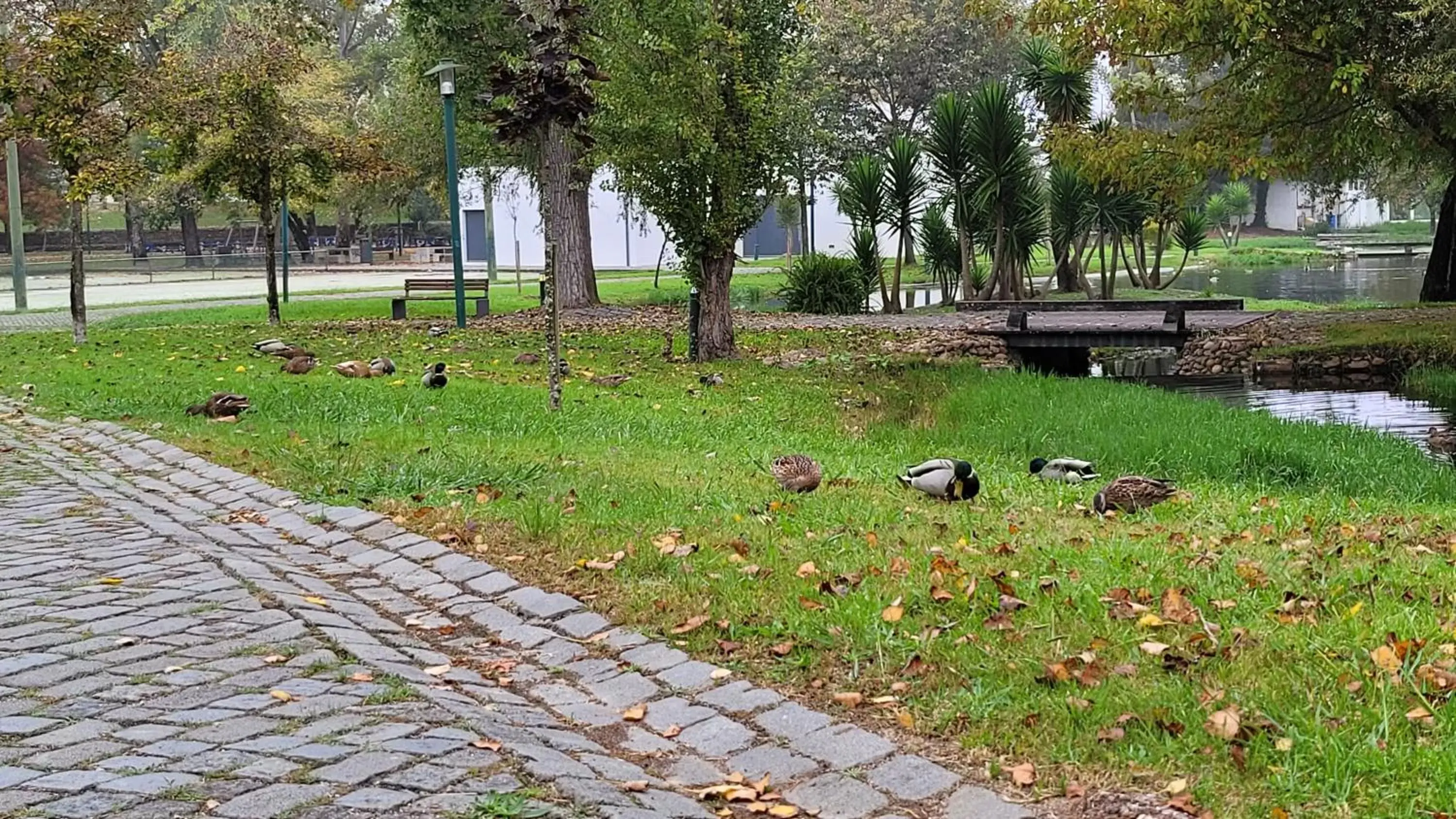 Nearby landmark, Garden in Residencia Paris