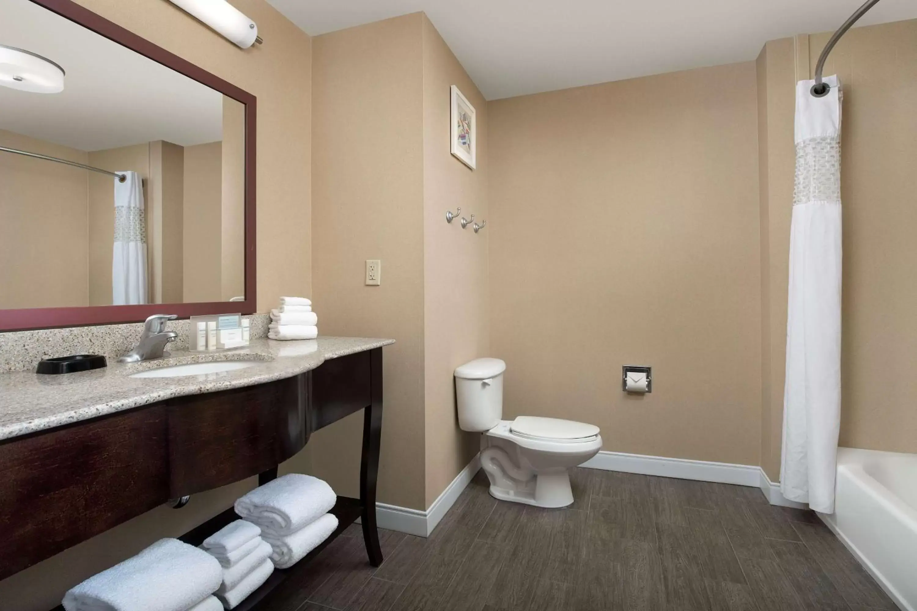 Bathroom in Hampton Inn & Suites Lakeland-South Polk Parkway