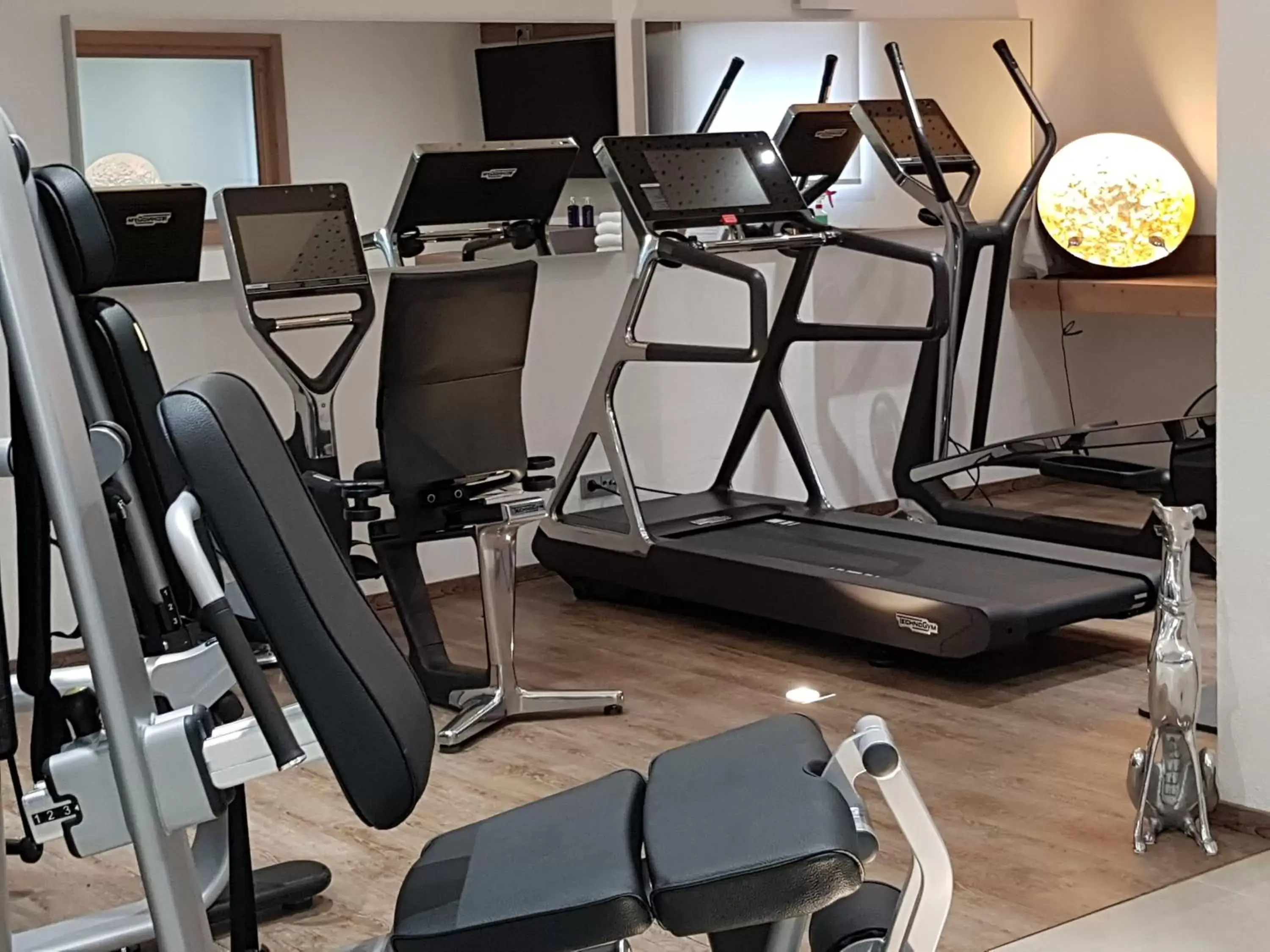 Fitness centre/facilities, Fitness Center/Facilities in Hotel Vergeiner